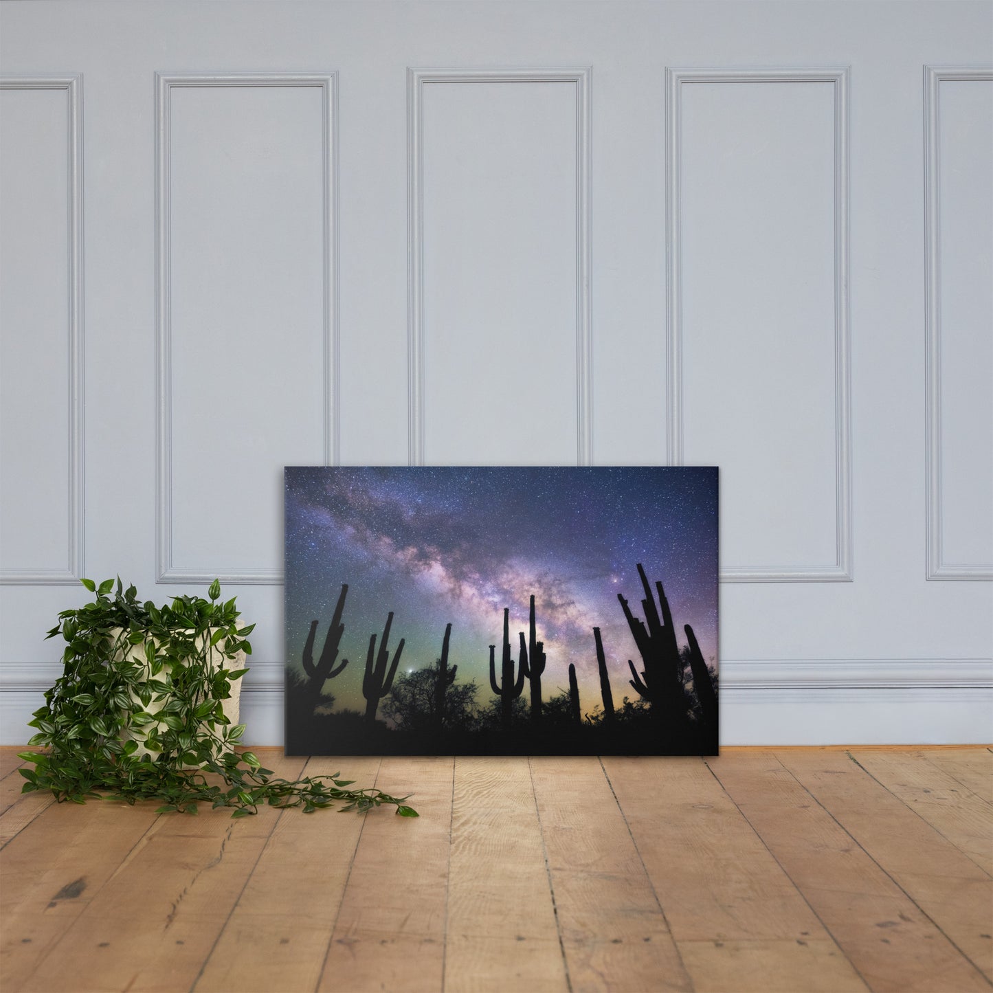 Saguaro Starlight by Sean Parker Photography | Wrapped Canvas