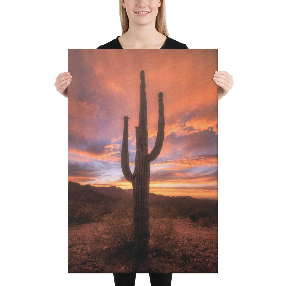Saguaro Sunset by Sean Parker Photography | Wrapped Canvas