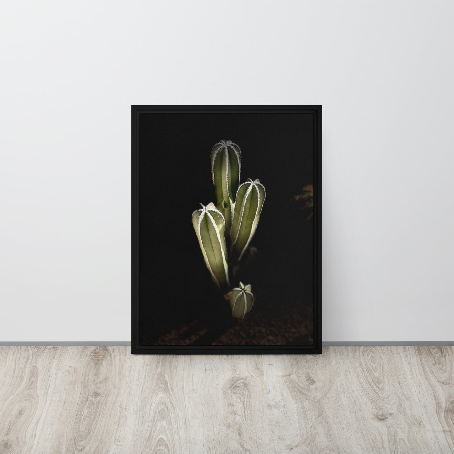Saguaro Quad by Enrique Aldana Photography | Framed canvas