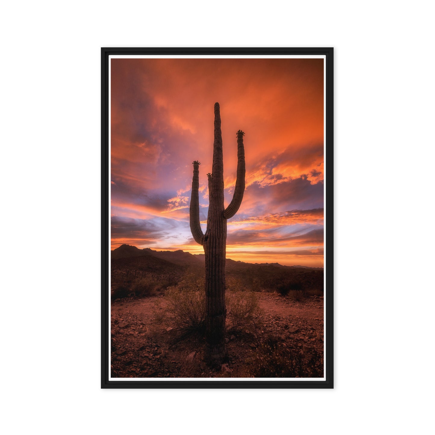 Saguaro Sunset by Sean Parker Photography | Framed canvas