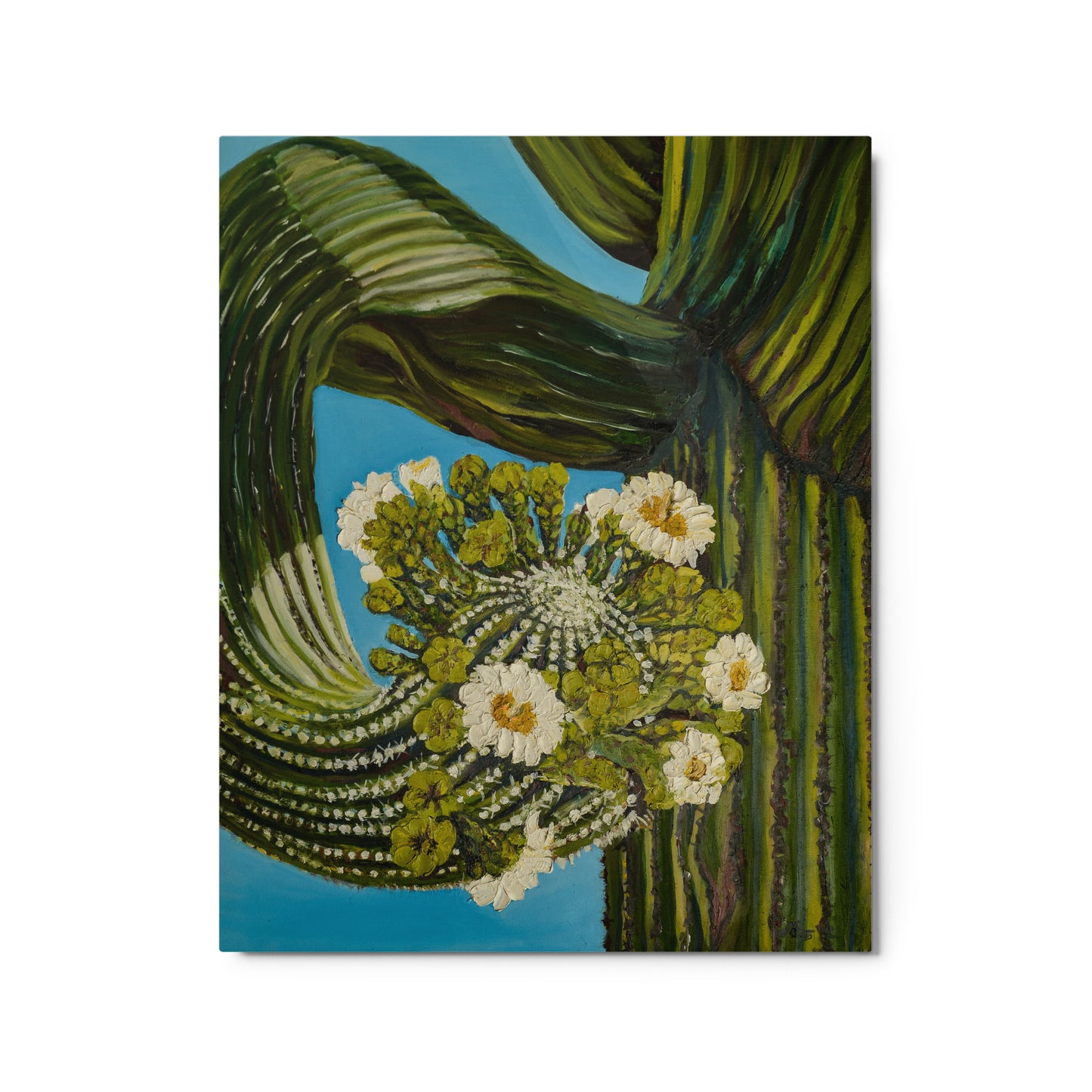 Twisted Saguaro by Andrea Rodriguez | Metal Print