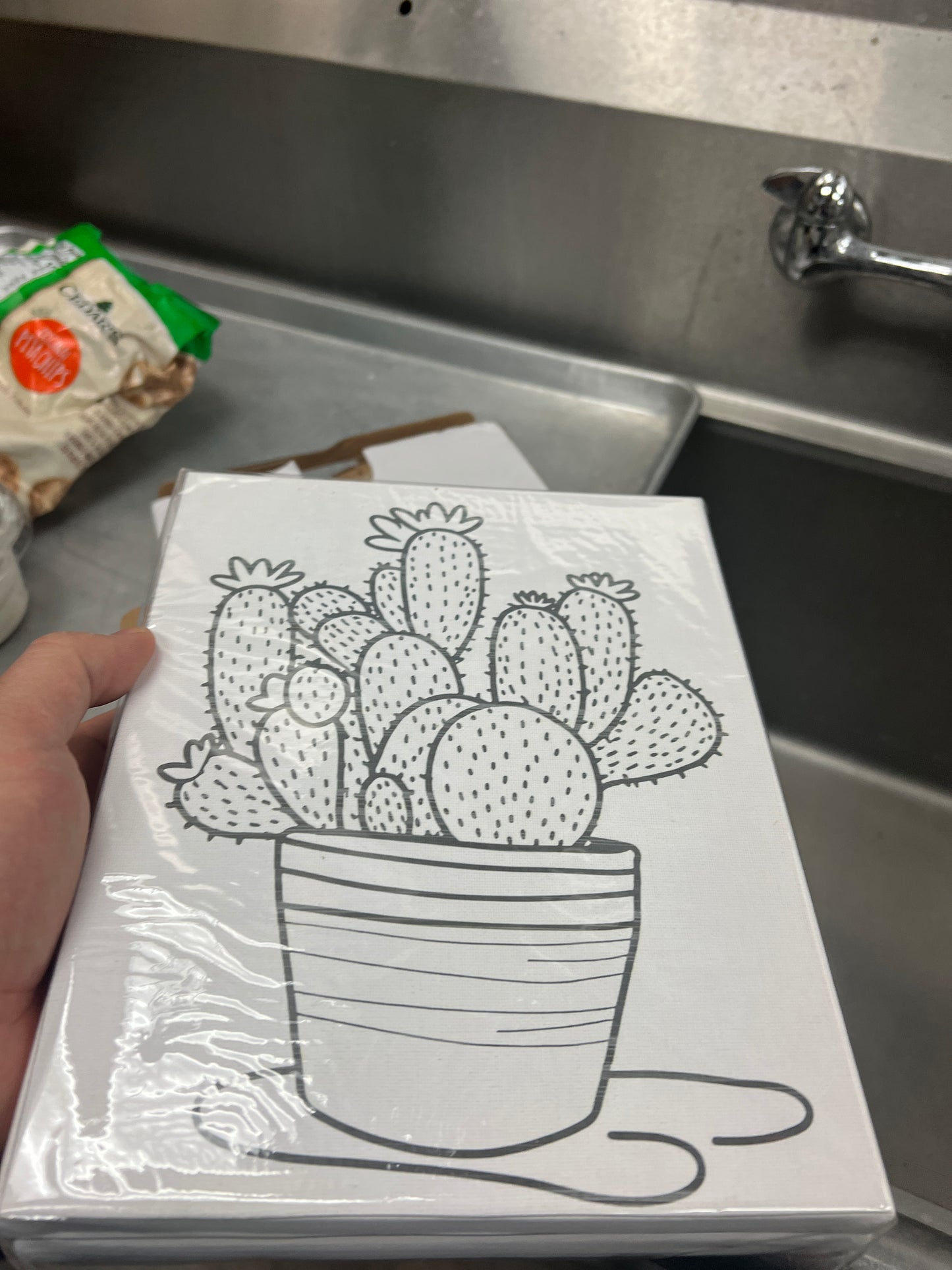 Cactus Paint Kit