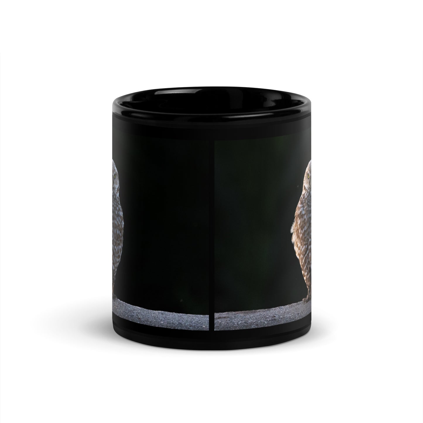 Burrowing Owl by Leslie Leathers Photography l Black Glossy Mug