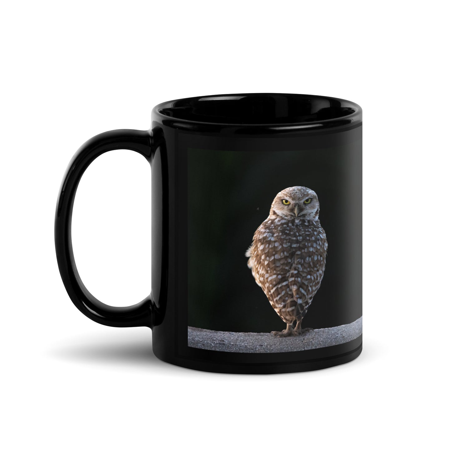 Burrowing Owl by Leslie Leathers Photography l Black Glossy Mug