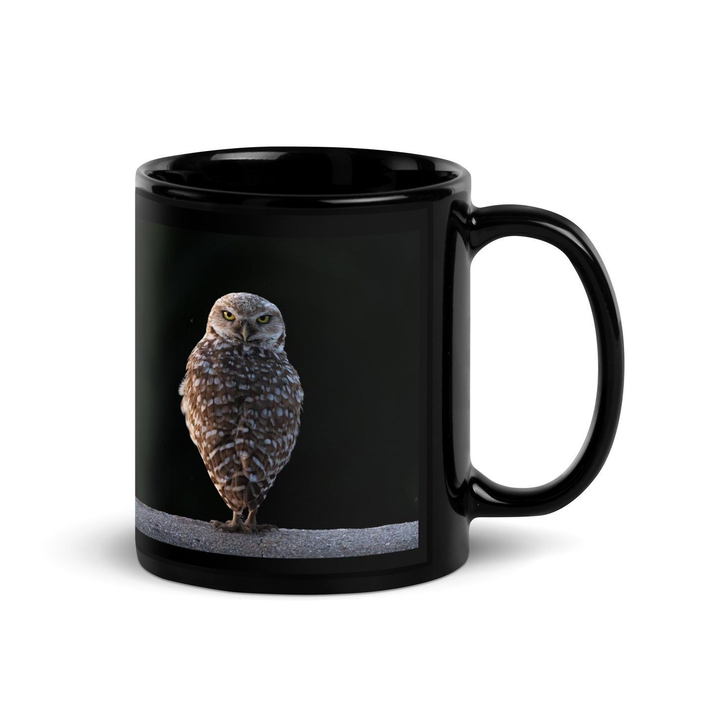 Burrowing Owl by Leslie Leathers Photography l Black Glossy Mug