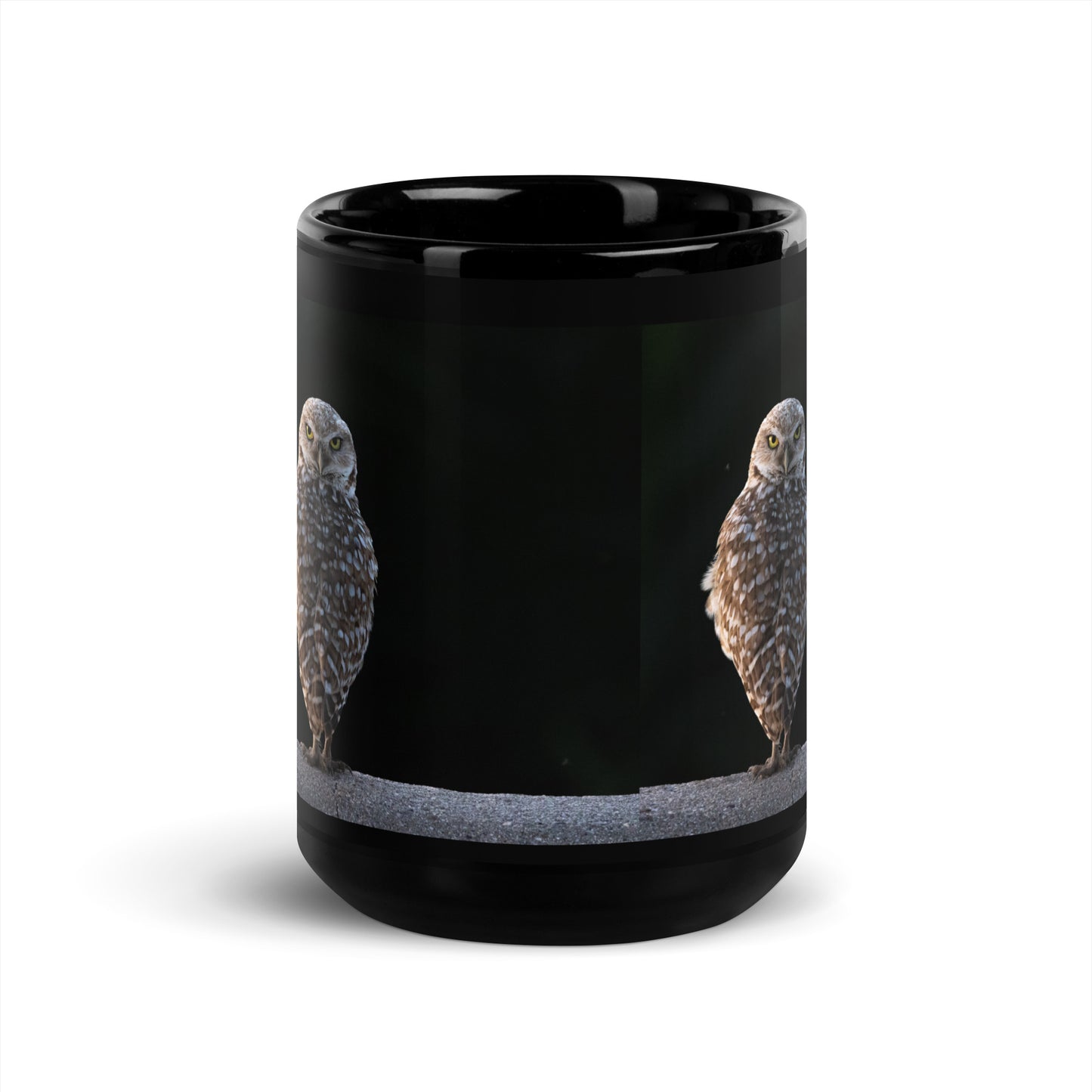 Burrowing Owl by Leslie Leathers Photography l Black Glossy Mug