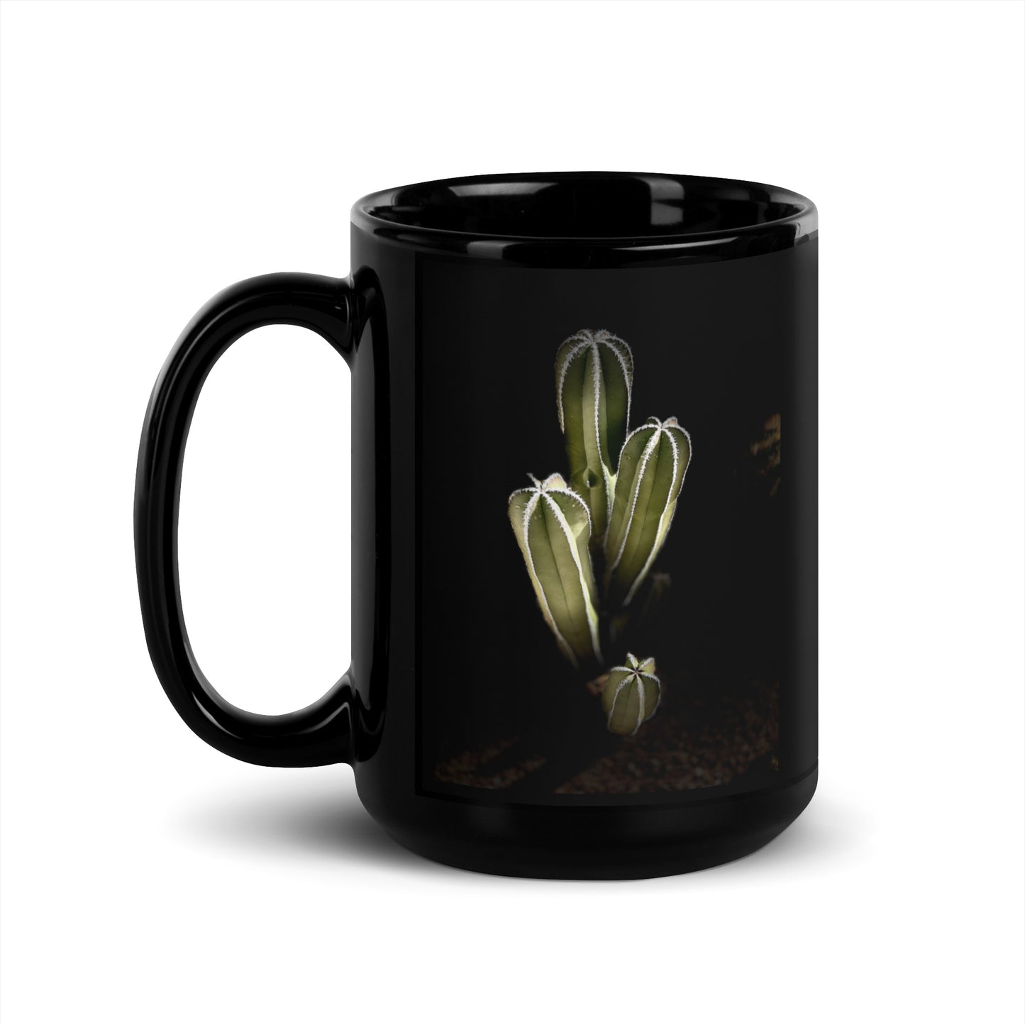 Saguaro Quad by Enrique Aldana Photography | Black Glossy Mug