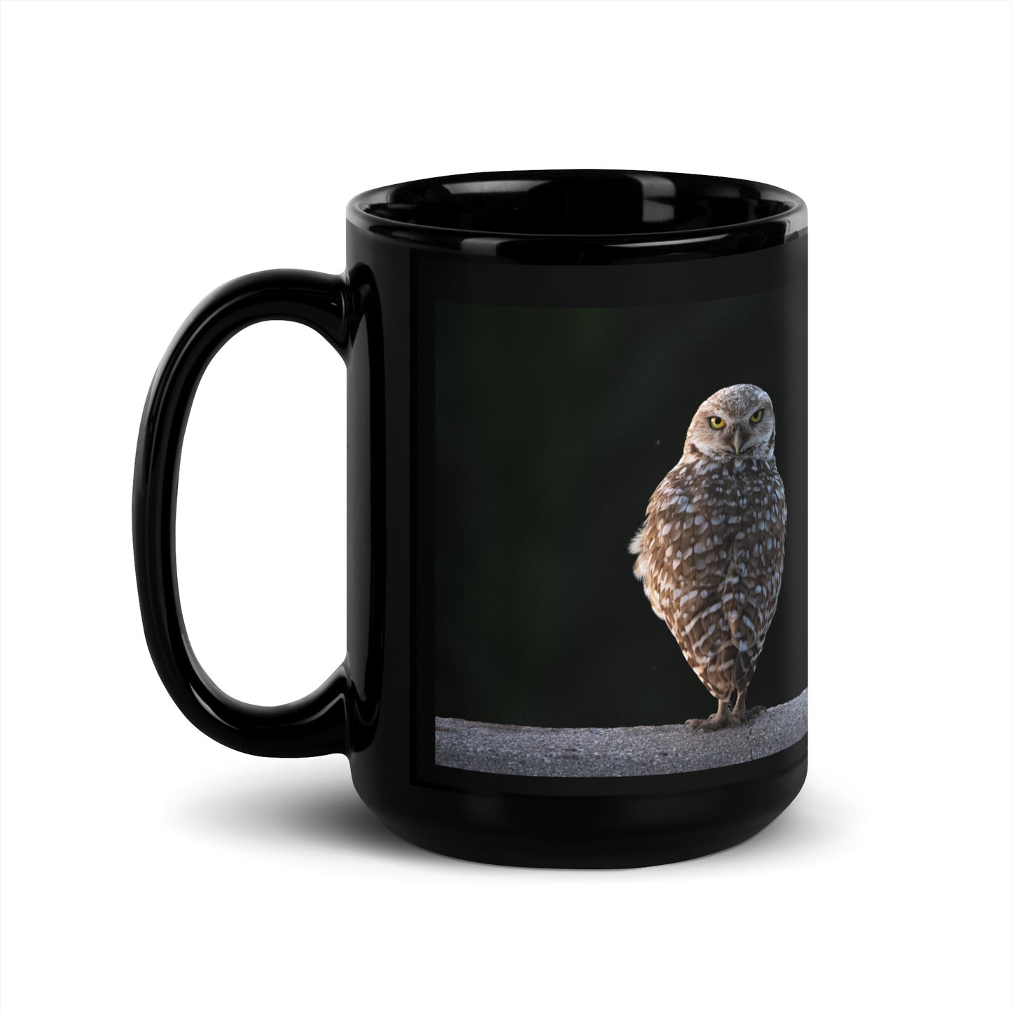 Burrowing Owl by Leslie Leathers Photography l Black Glossy Mug