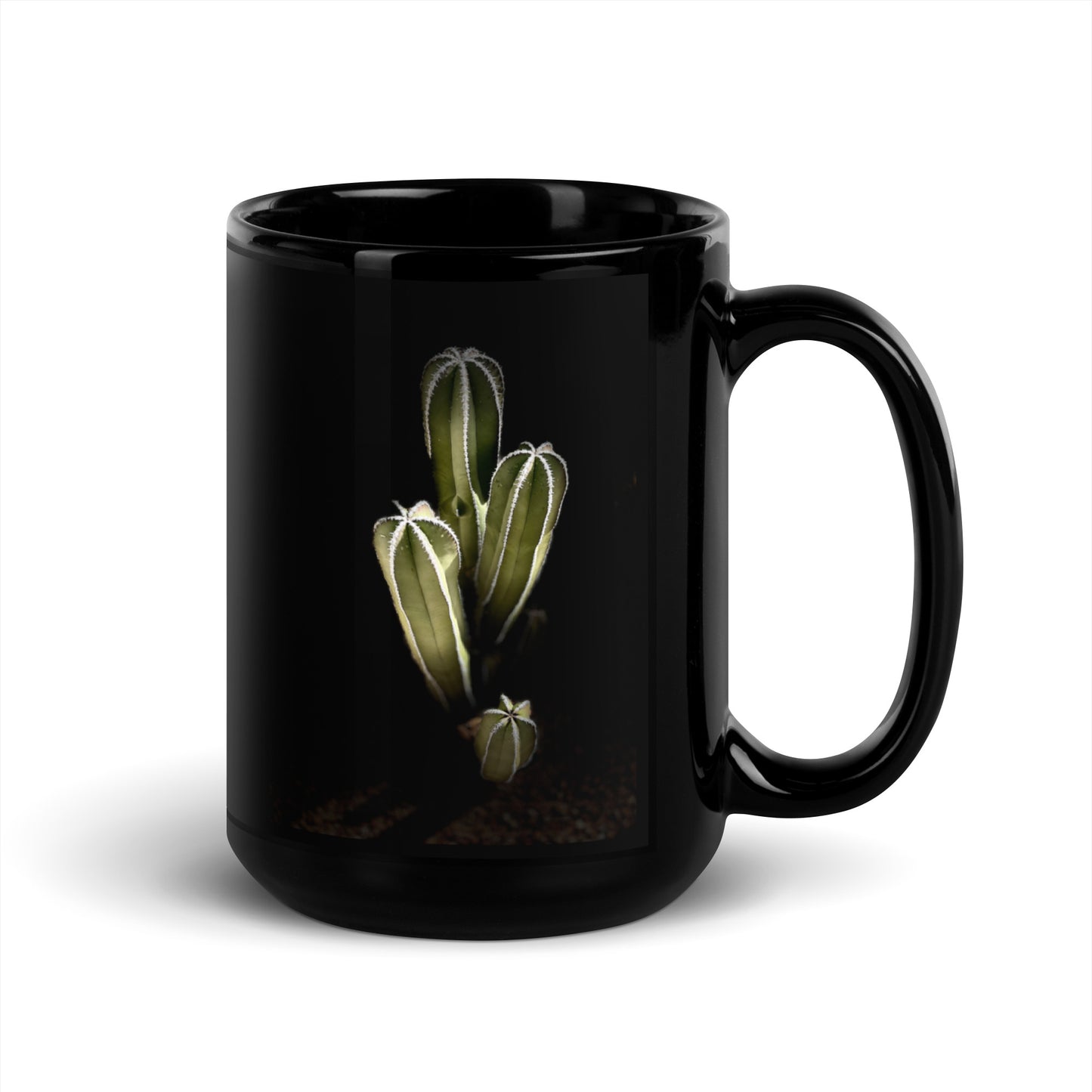 Saguaro Quad by Enrique Aldana Photography | Black Glossy Mug