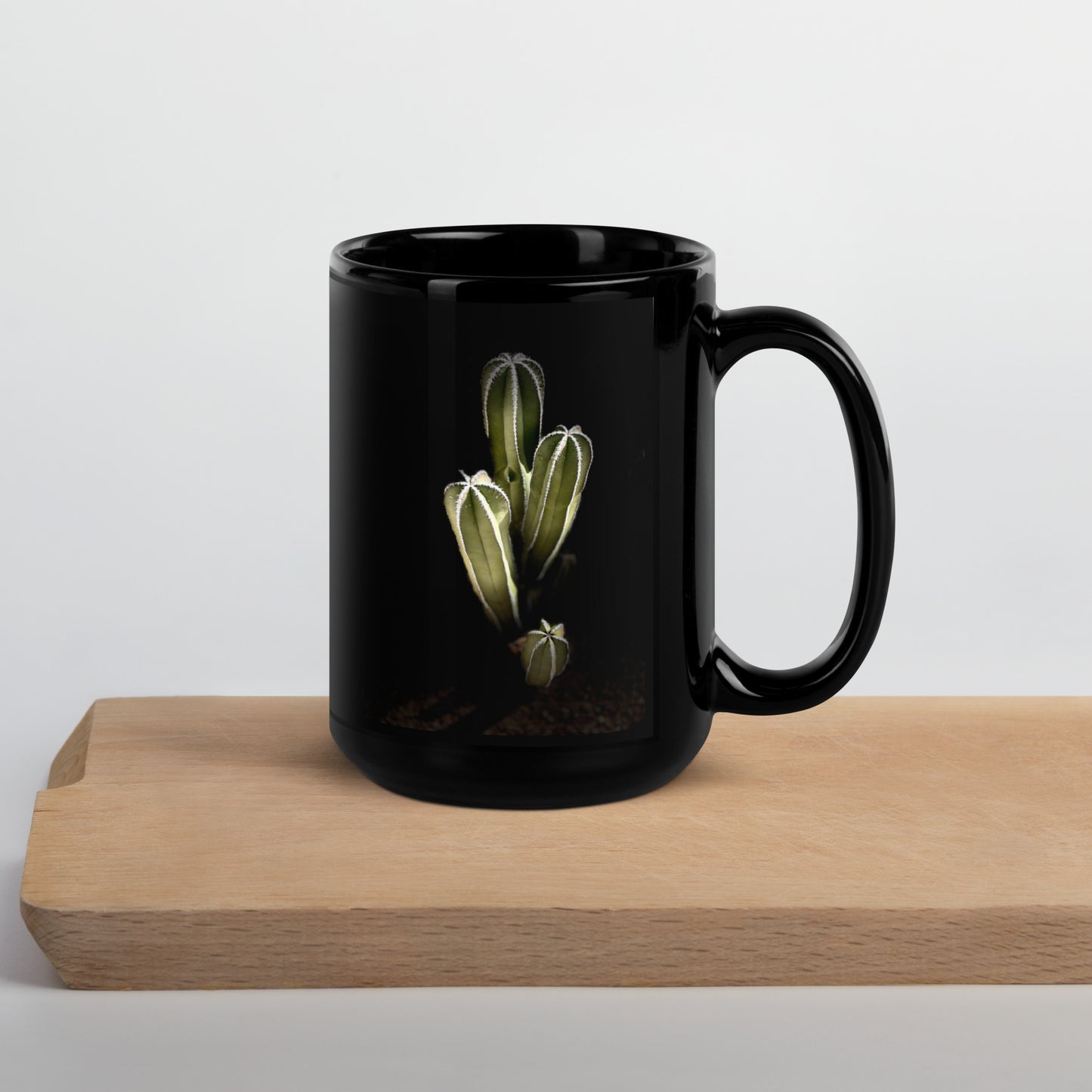 Saguaro Quad by Enrique Aldana Photography | Black Glossy Mug