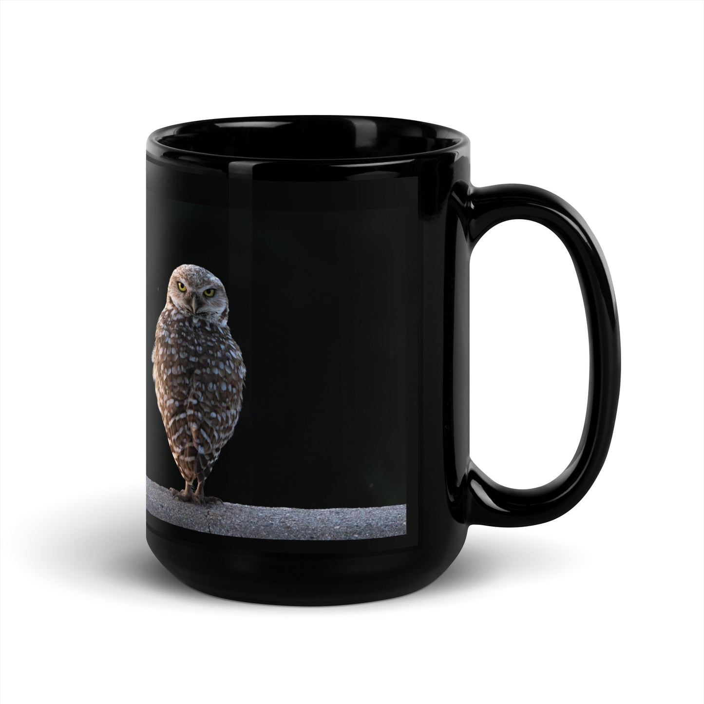 Burrowing Owl by Leslie Leathers Photography l Black Glossy Mug