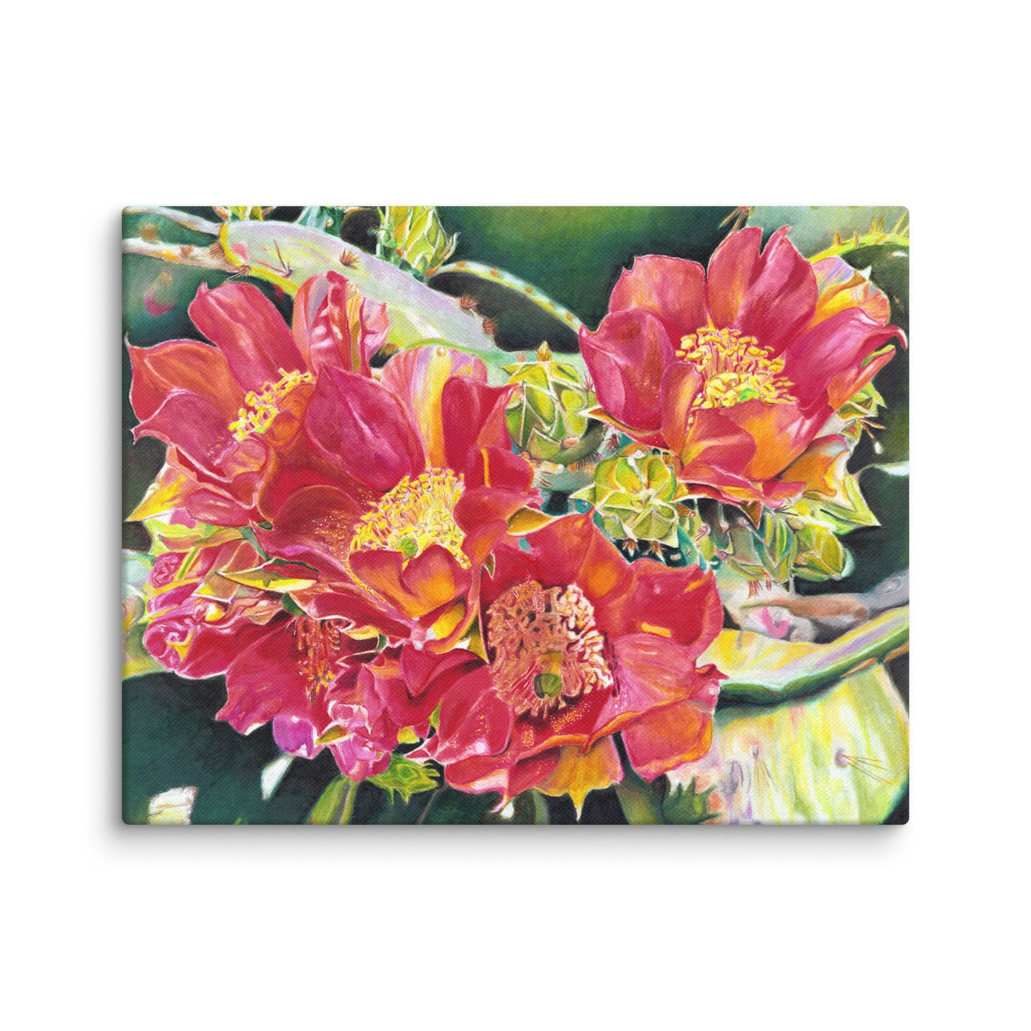 Cactus Beauties by Amber Pierson | Wrapped Canvas