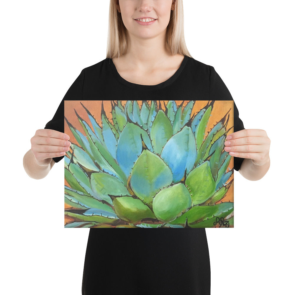 Blue Agave by Andrea Rodriguez | Wrapped Canvas Print