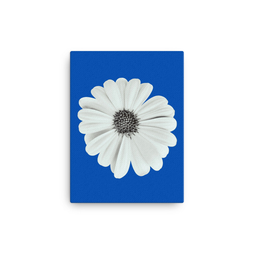 Loves Me Loves Me Not by Enrique Aldana - Blue | Wrapped Canvas