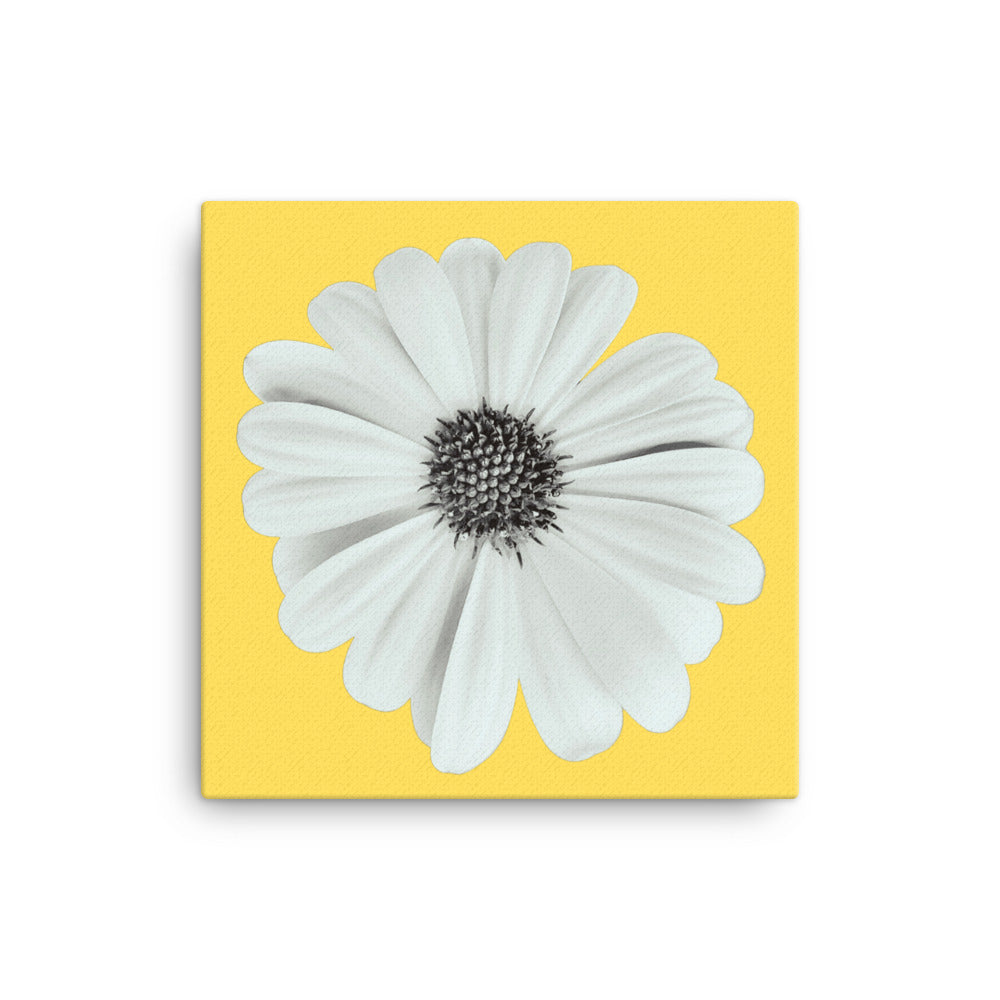 Loves Me Loves Me Not by Enrique Aldana - Yellow | Wrapped Canvas