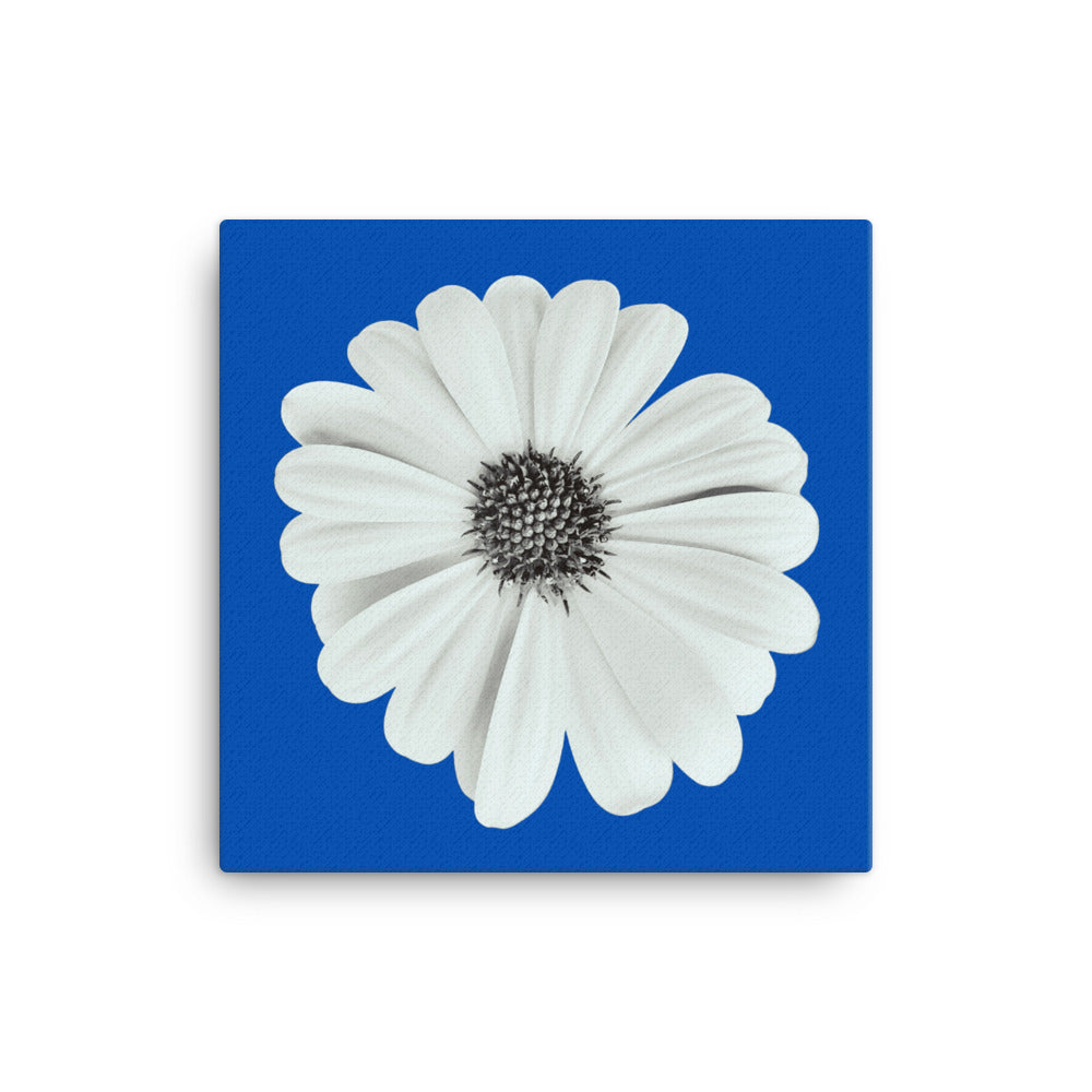 Loves Me Loves Me Not by Enrique Aldana - Blue | Wrapped Canvas