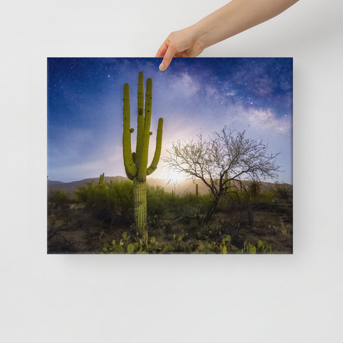 Milkyway Moonrise by Sean Parker Photography | Wrapped Canvas