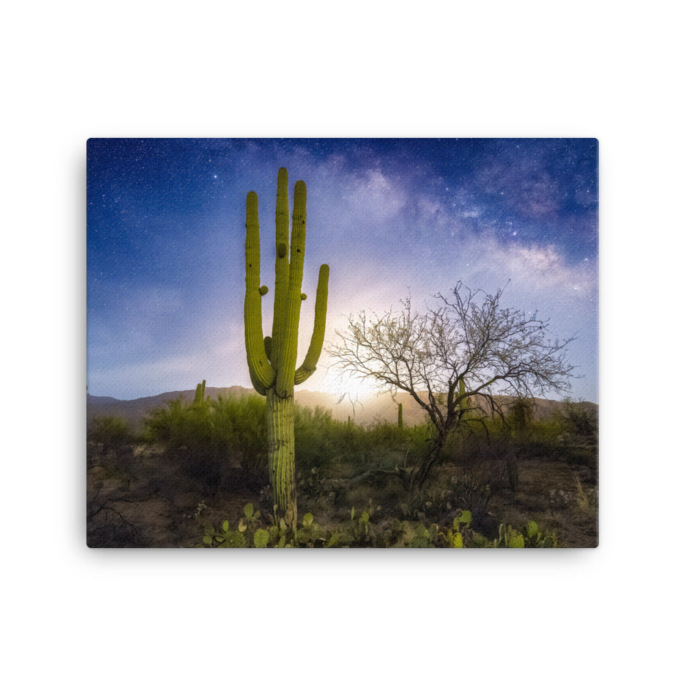 Milkyway Moonrise by Sean Parker Photography | Wrapped Canvas