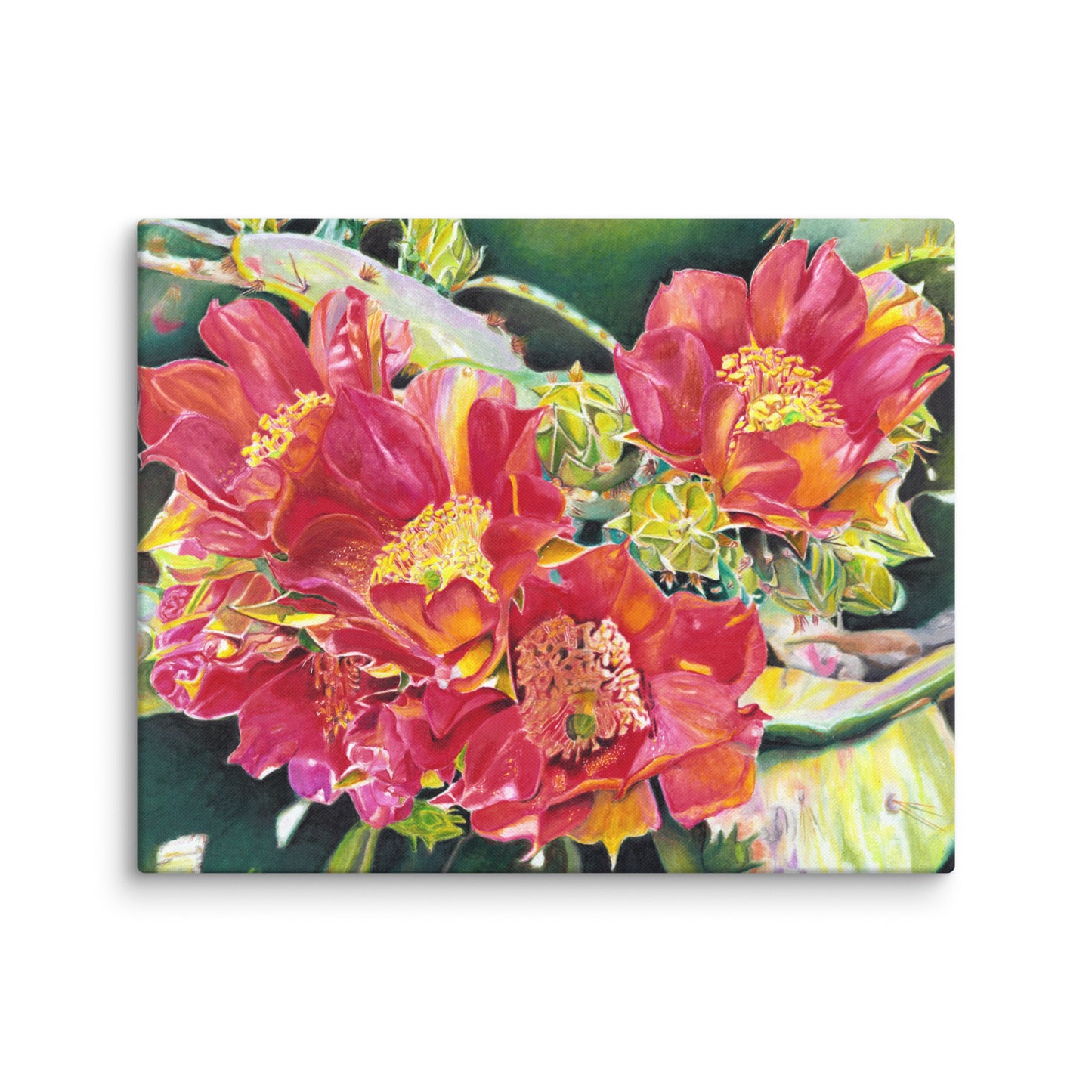 Cactus Beauties by Amber Pierson | Wrapped Canvas