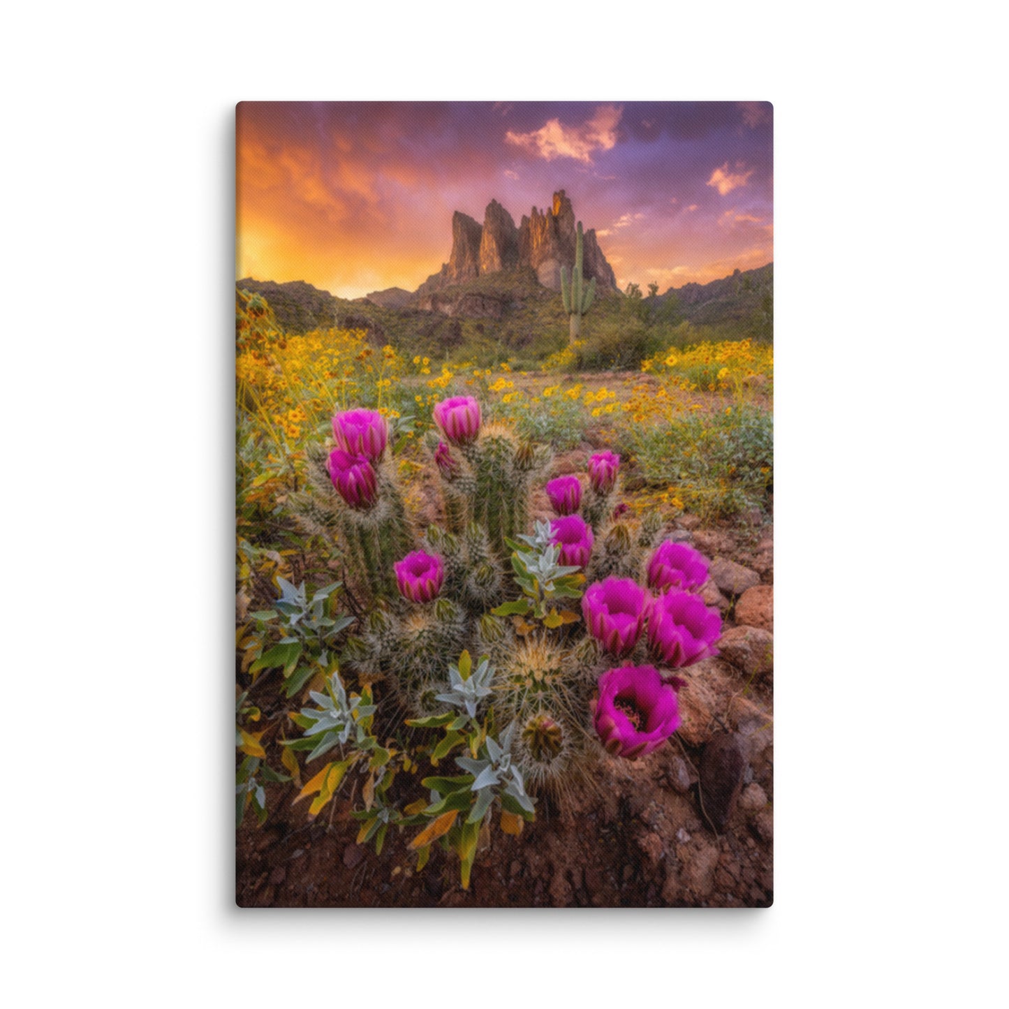 Sonoran Bloom by Sean Parker Photography | Wrapped Canvas