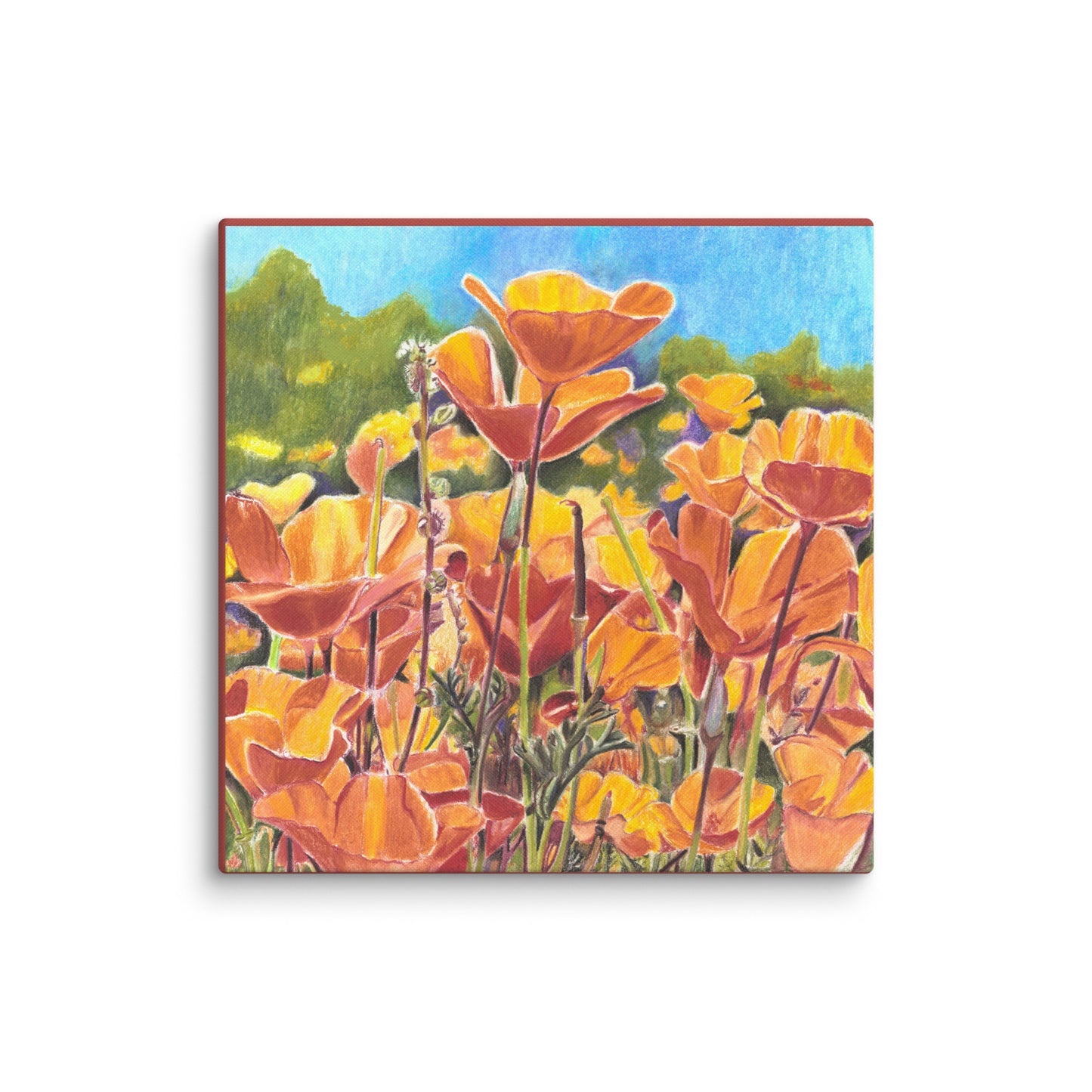 Roadside Poppies by Amber Pierson | Wrapped Canvas