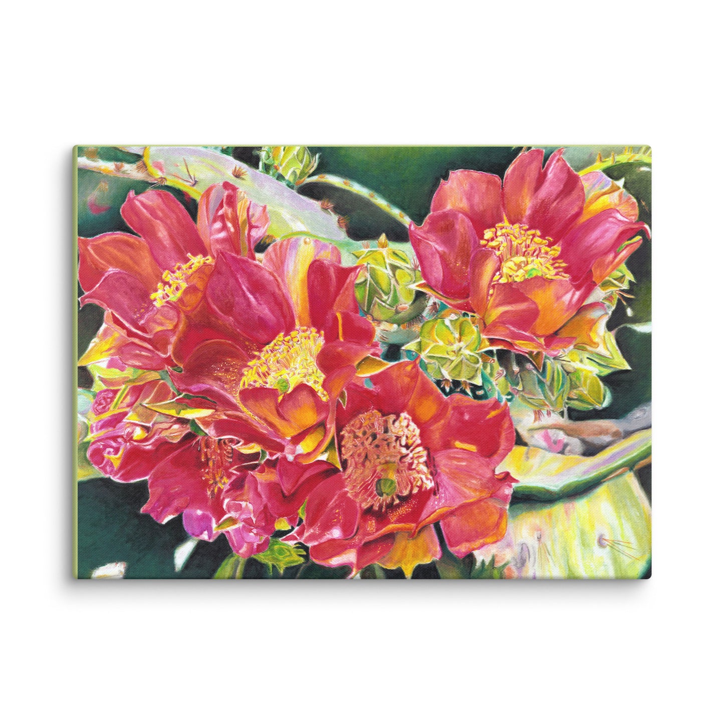 Cactus Beauties by Amber Pierson | Wrapped Canvas