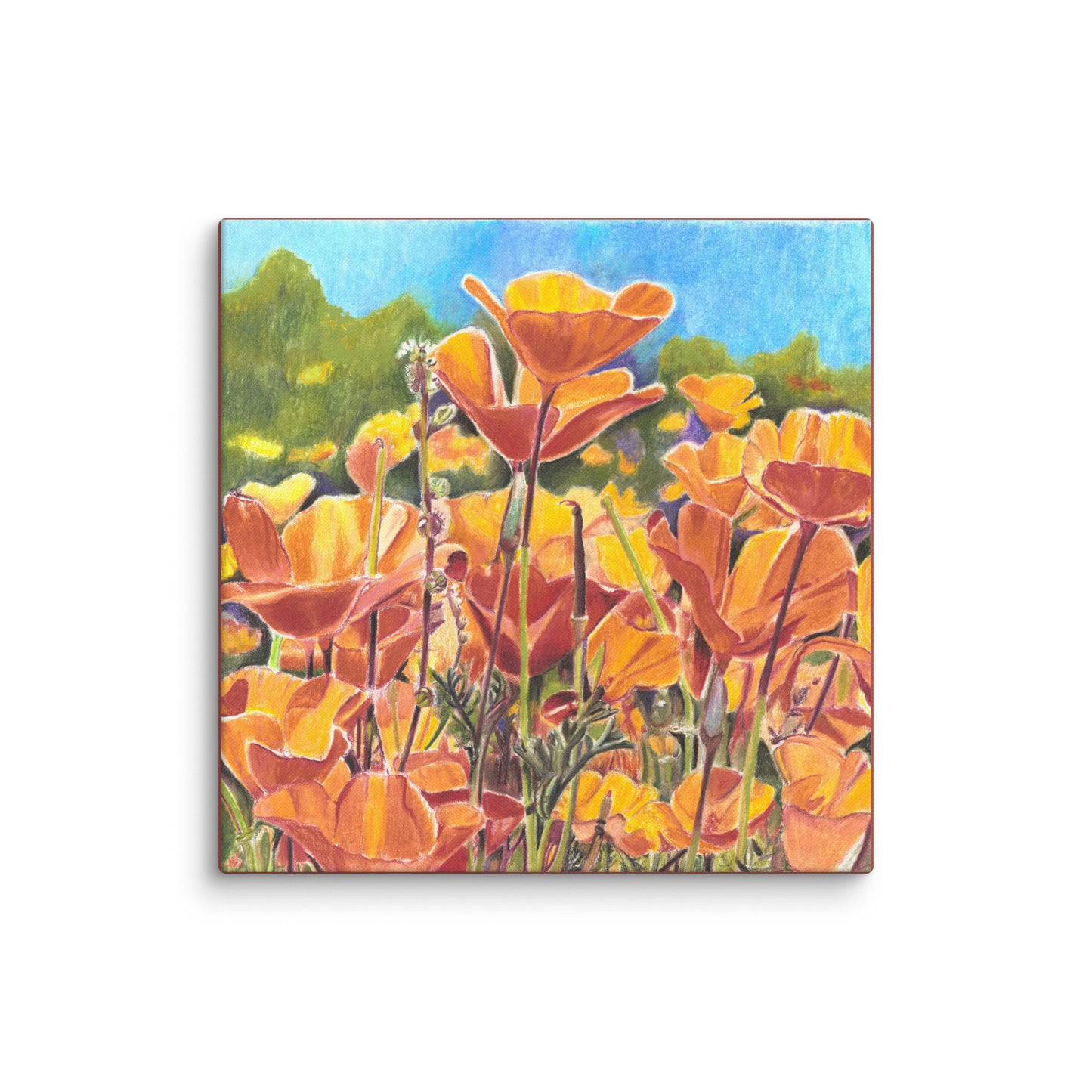 Roadside Poppies by Amber Pierson | Wrapped Canvas