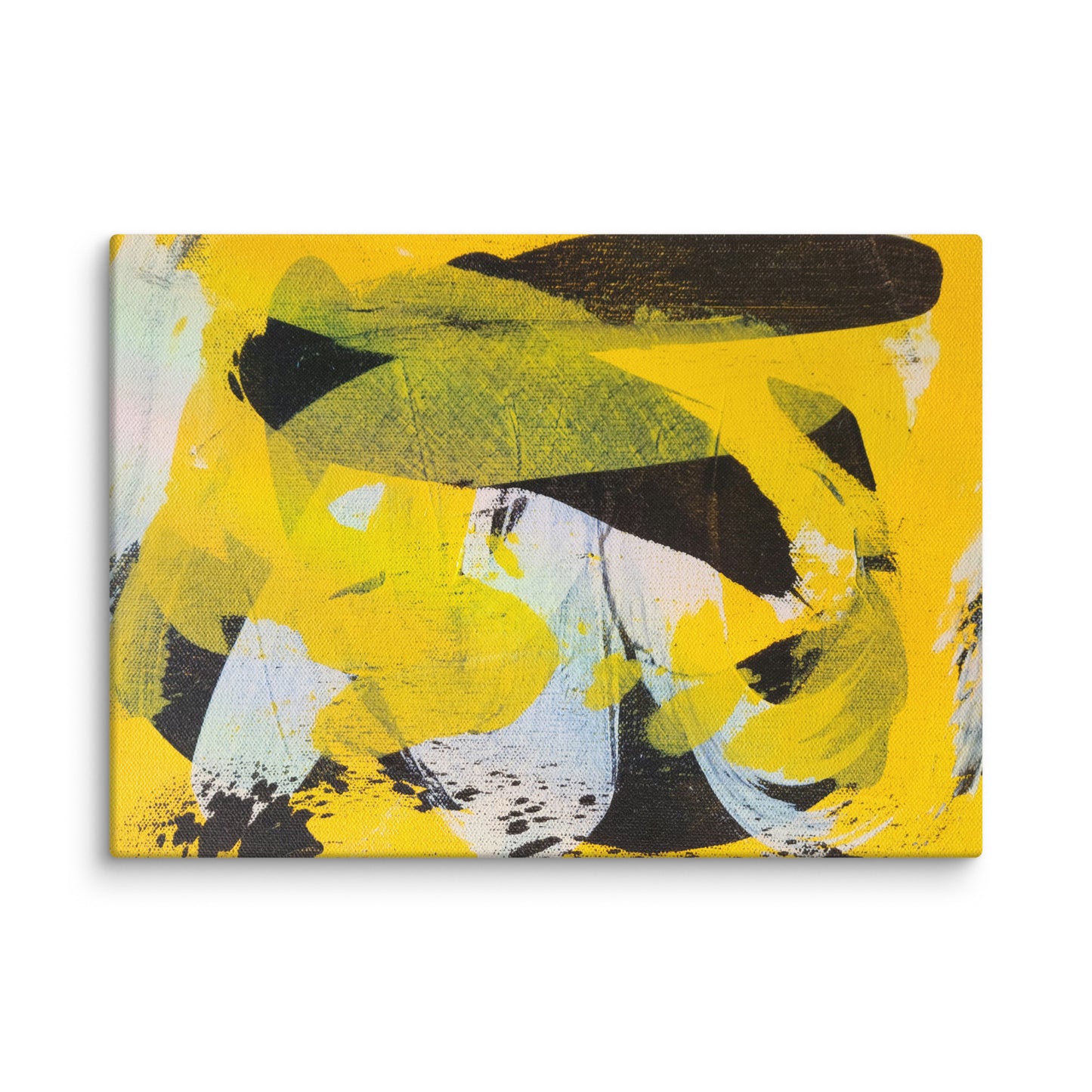 Steller Sway by Eric Haberman | Wrapped Canvas