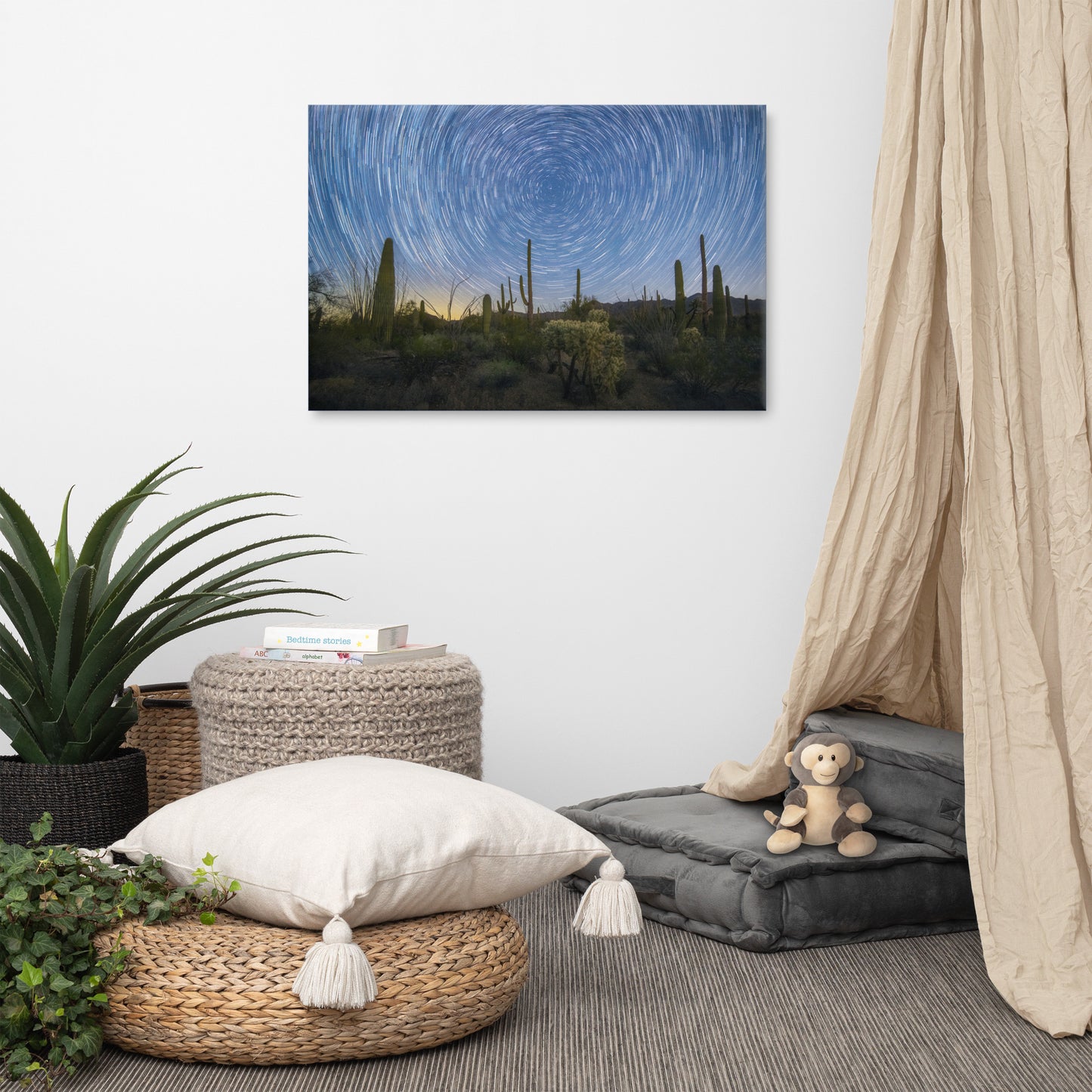 Sonoran Startails by Sean Parker Photography | Wrapped Canvas