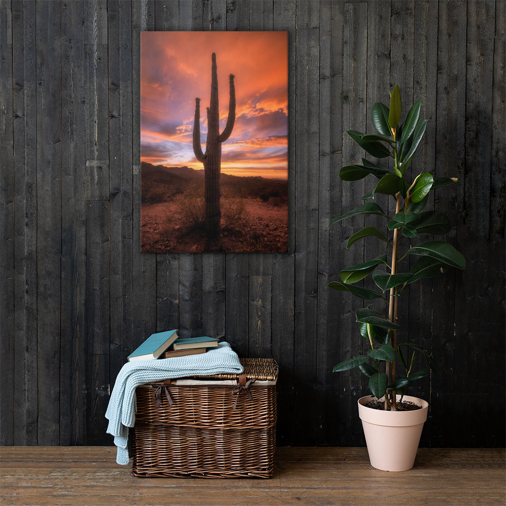 Saguaro Sunset by Sean Parker Photography | Wrapped Canvas