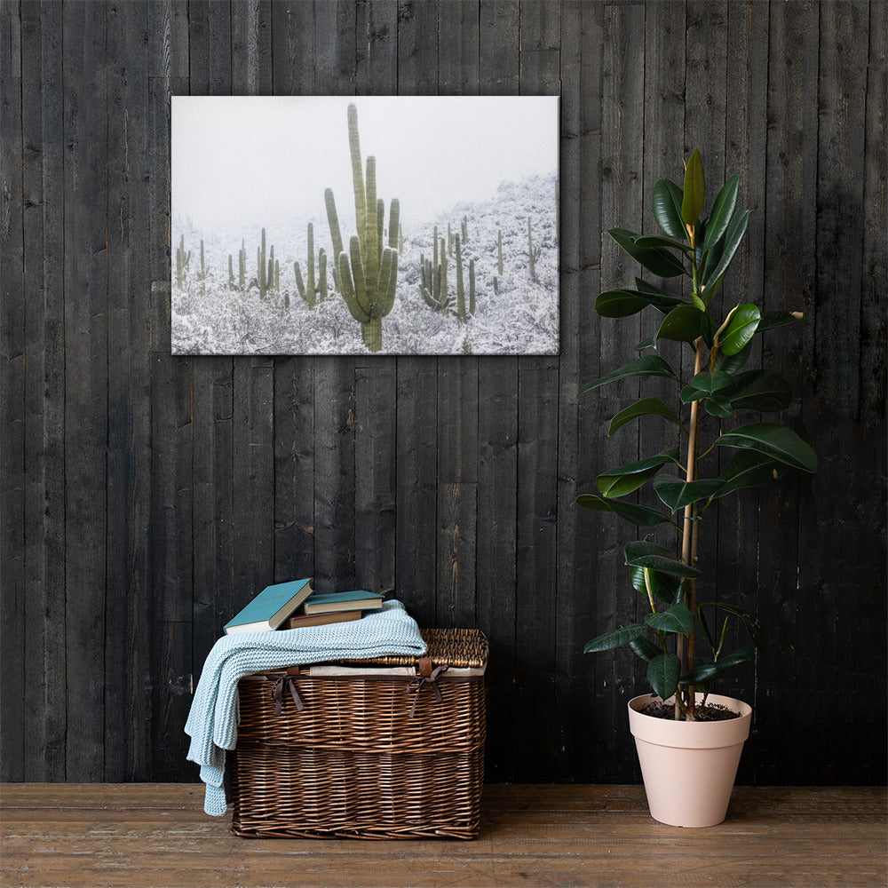 Saguaro Snowfall by Sean Parker Photography | Wrapped Canvas