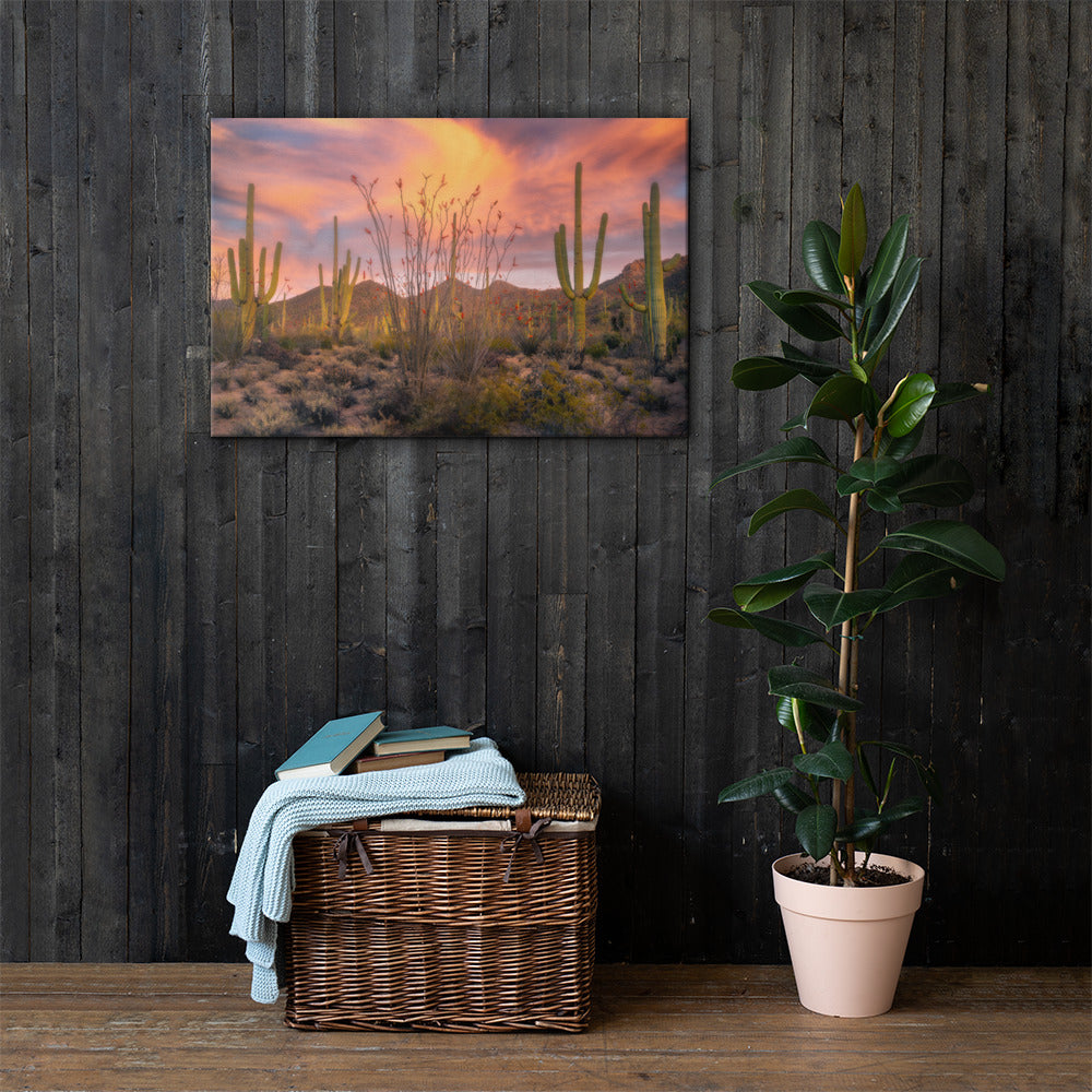 Tucson Mountain Park Sunset by Sean Parker Photography | Wrapped Canvas