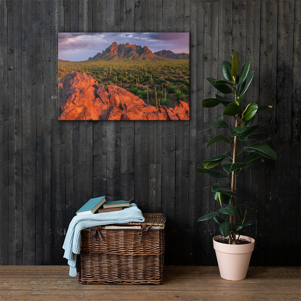 Ironwood National Monument By Sean Parker Photography | Wrapped Canvas