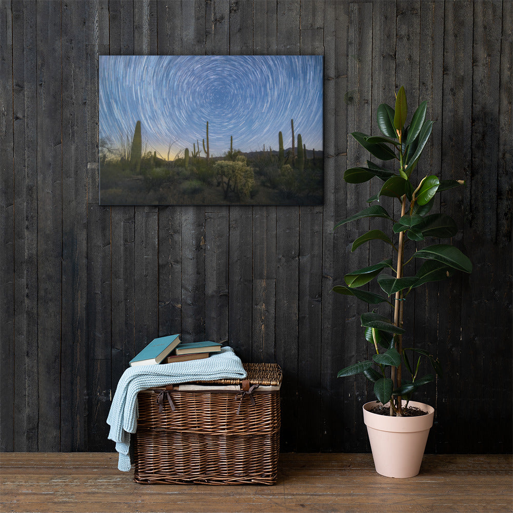 Sonoran Startails by Sean Parker Photography | Wrapped Canvas