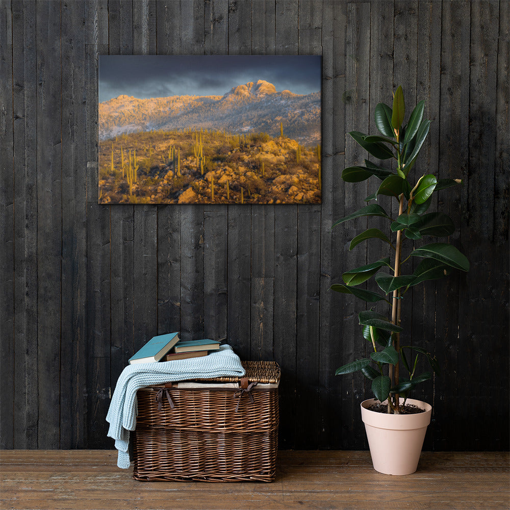 Rincon Mountain Snow by Sean Parker Photography | Wrapped Canvas