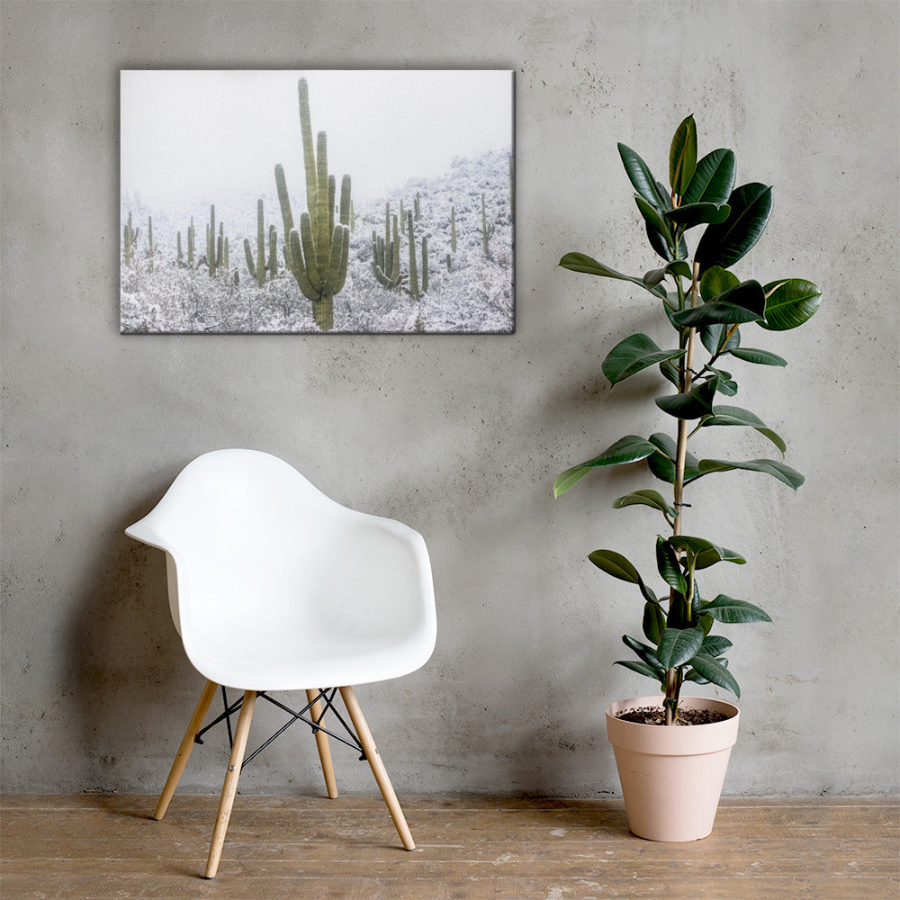 Saguaro Snowfall by Sean Parker Photography | Wrapped Canvas