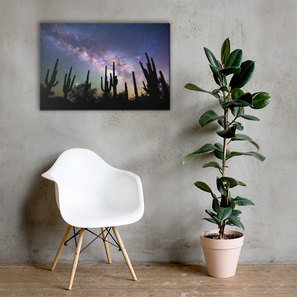 Saguaro Starlight by Sean Parker Photography | Wrapped Canvas