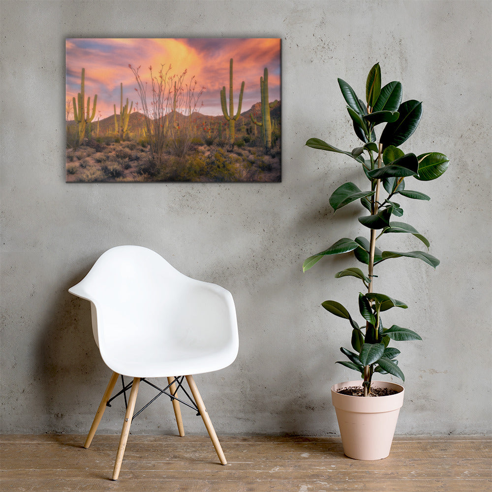 Tucson Mountain Park Sunset by Sean Parker Photography | Wrapped Canvas