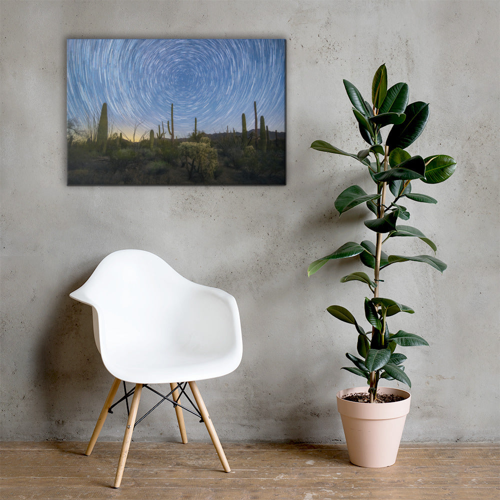 Sonoran Startails by Sean Parker Photography | Wrapped Canvas