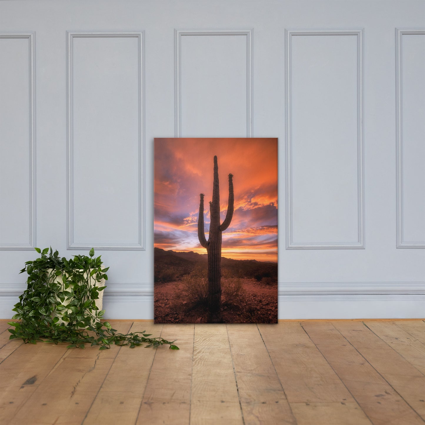 Saguaro Sunset by Sean Parker Photography | Wrapped Canvas