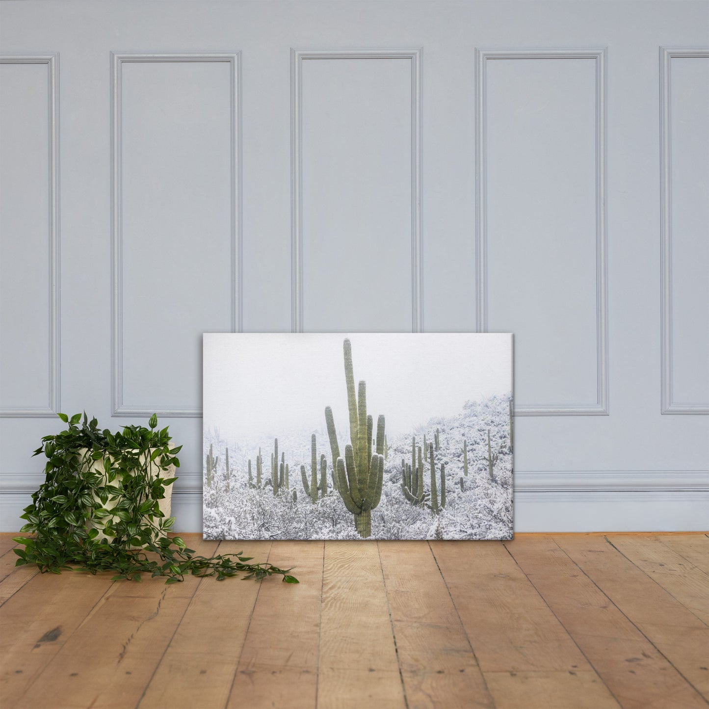 Saguaro Snowfall by Sean Parker Photography | Wrapped Canvas