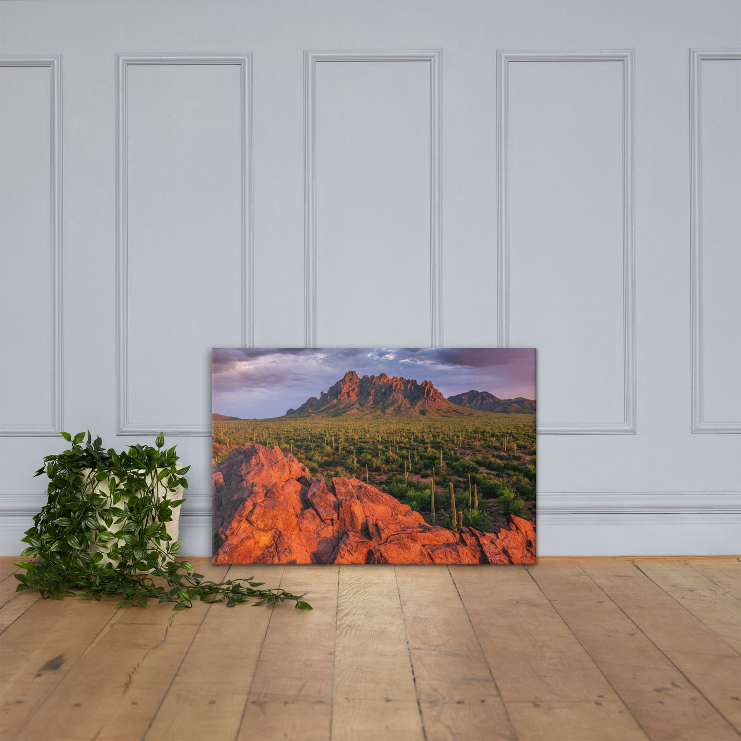 Ironwood National Monument By Sean Parker Photography | Wrapped Canvas