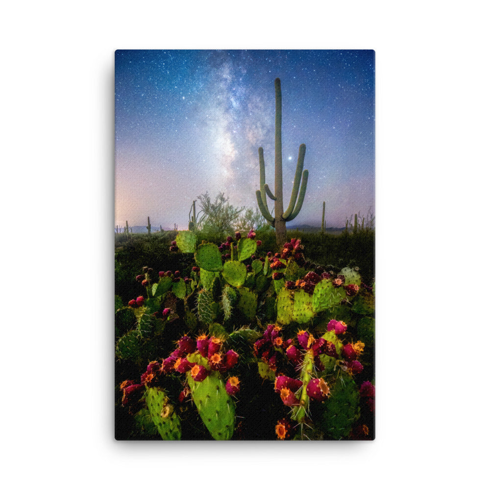 Milky Way Prickly Pear by Sean Parker Photography | Wrapped Canvas