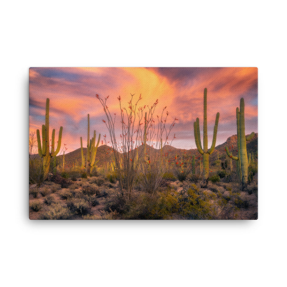 Tucson Mountain Park Sunset by Sean Parker Photography | Wrapped Canvas