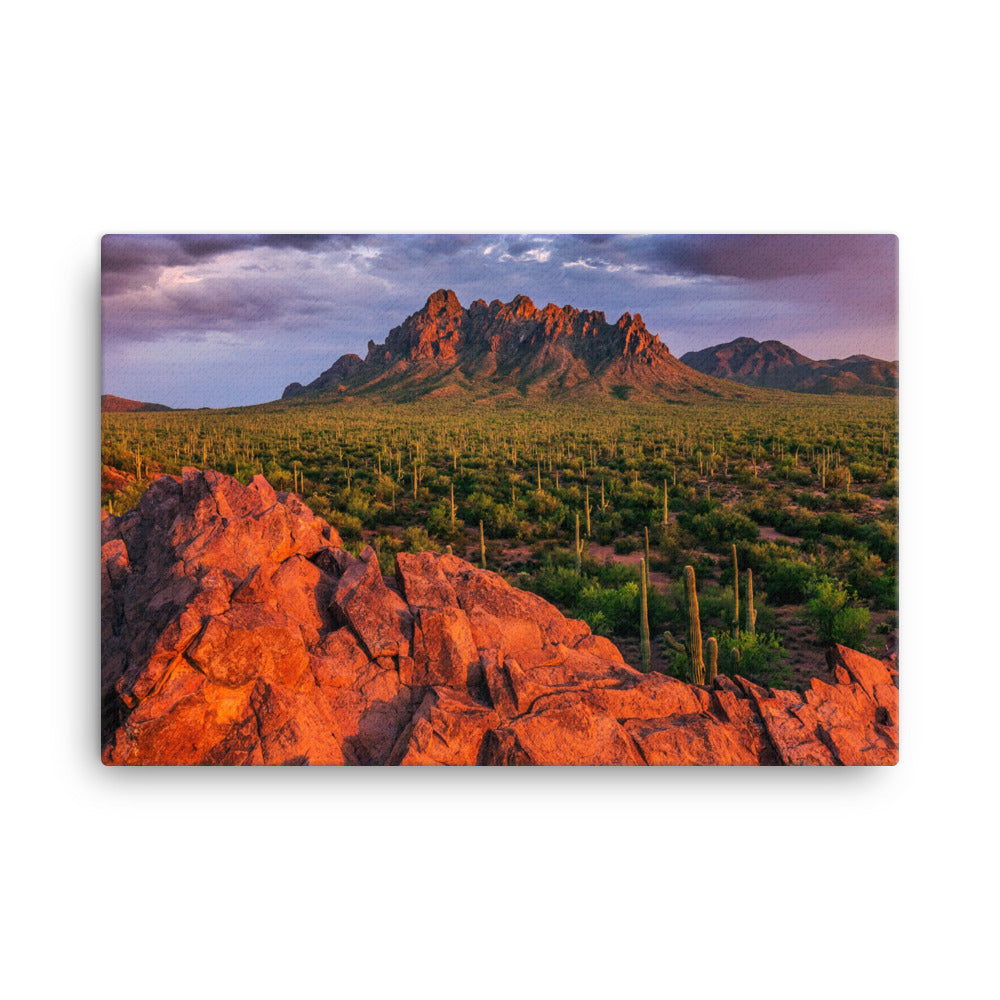 Ironwood National Monument By Sean Parker Photography | Wrapped Canvas