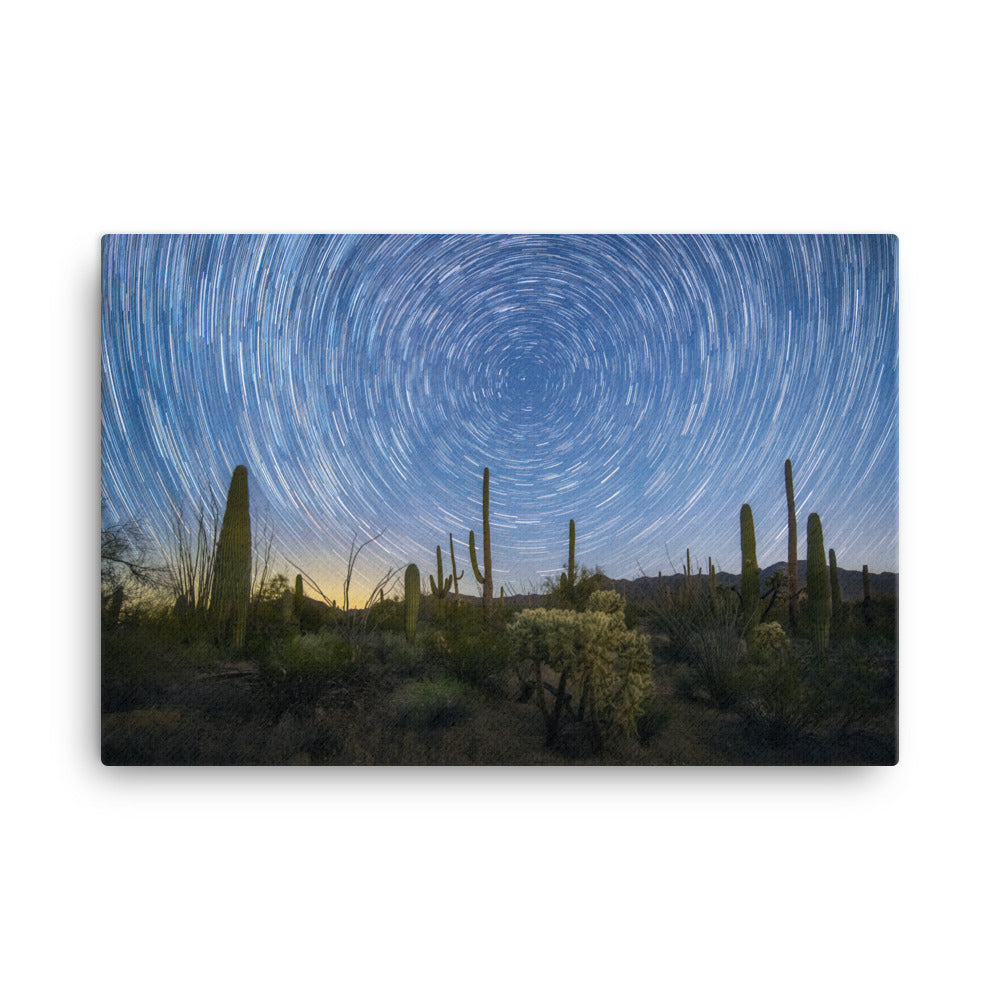 Sonoran Startails by Sean Parker Photography | Wrapped Canvas