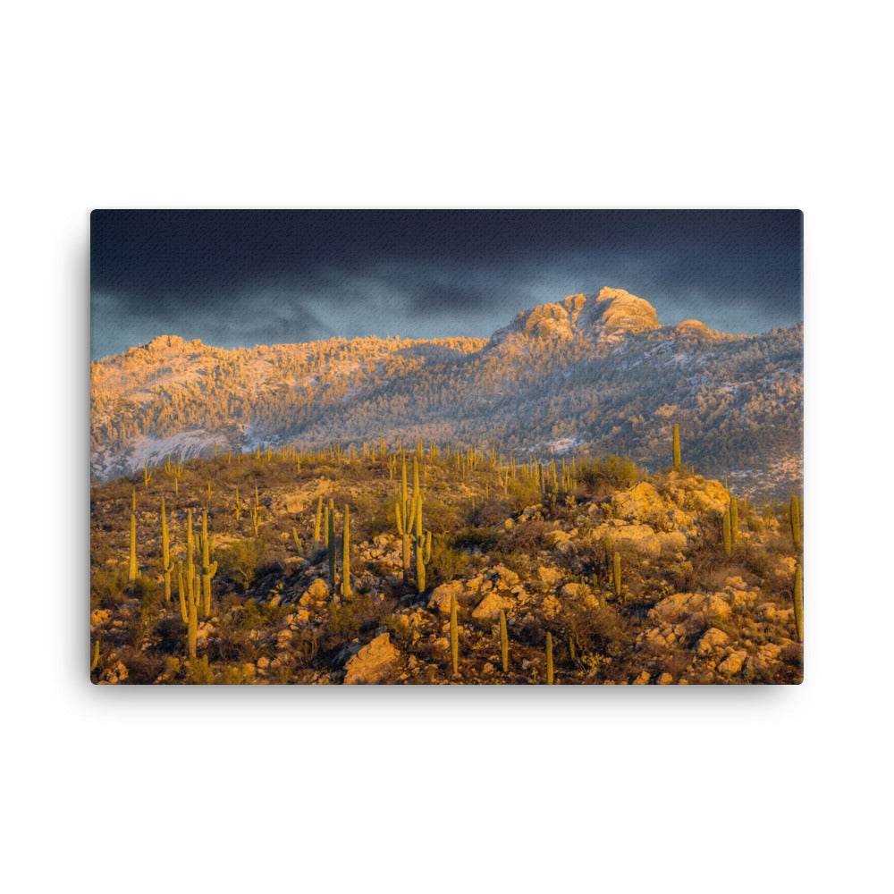 Rincon Mountain Snow by Sean Parker Photography | Wrapped Canvas