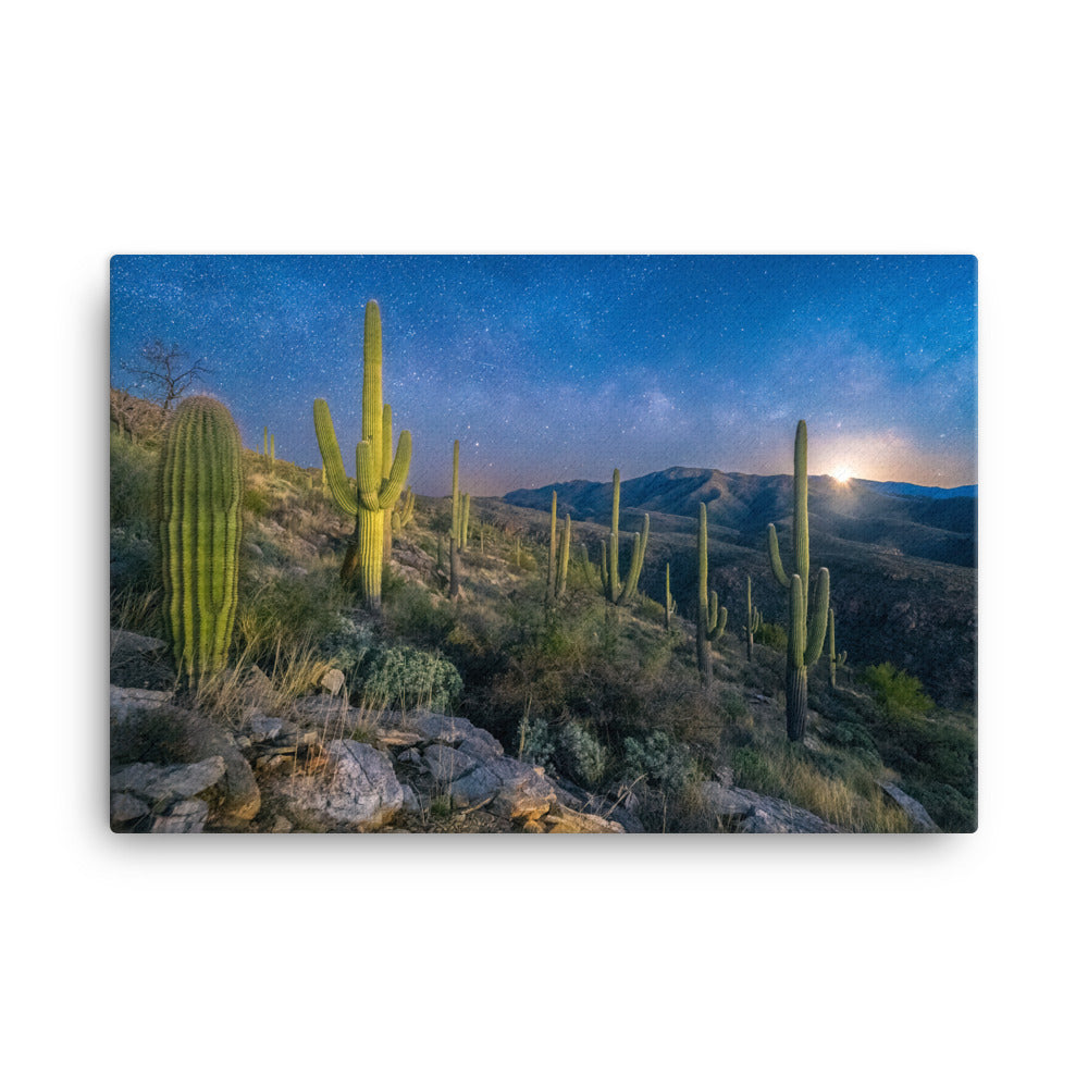 Morning Milkyway by Sean Parker Photography | Wrapped Canvas