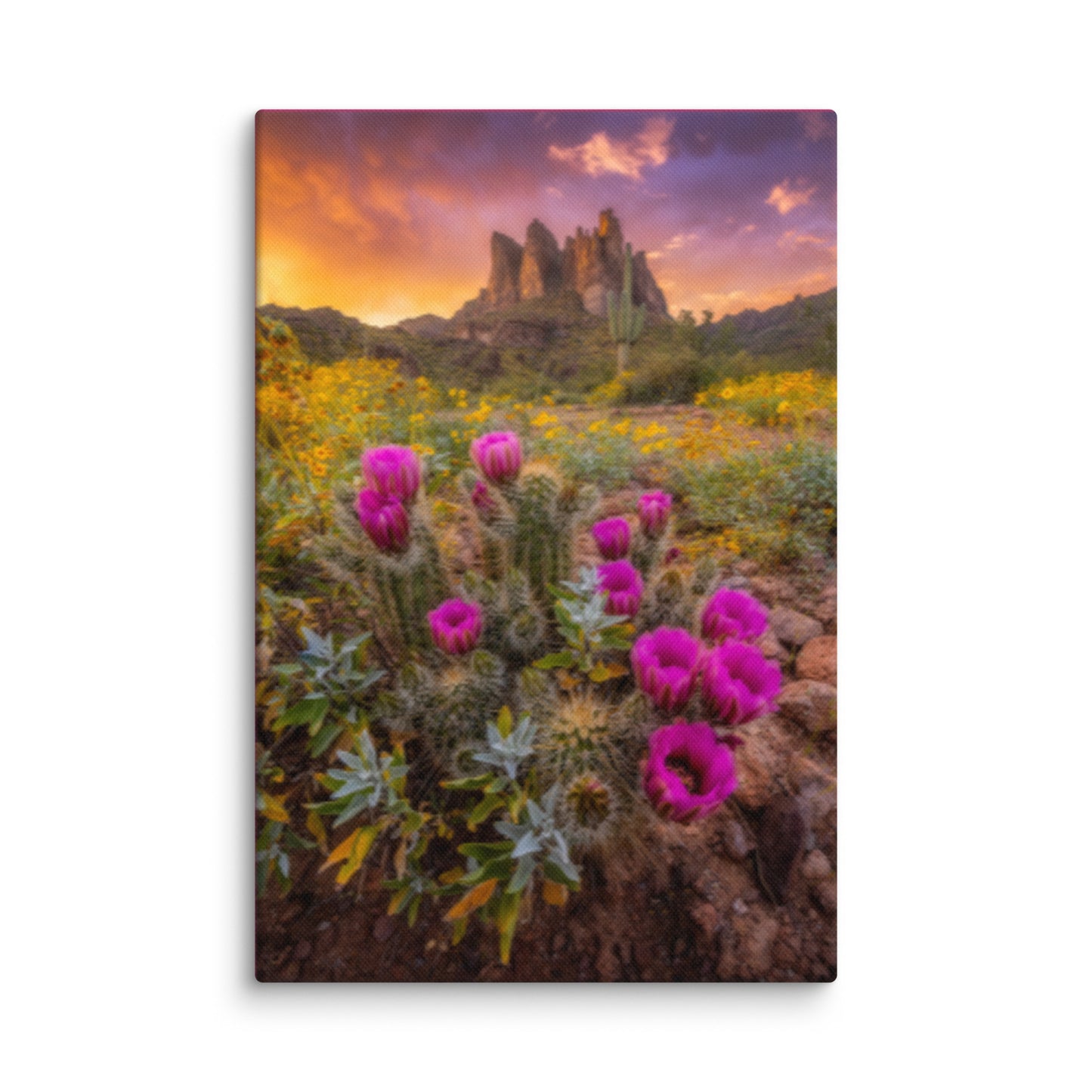 Sonoran Bloom by Sean Parker Photography | Wrapped Canvas