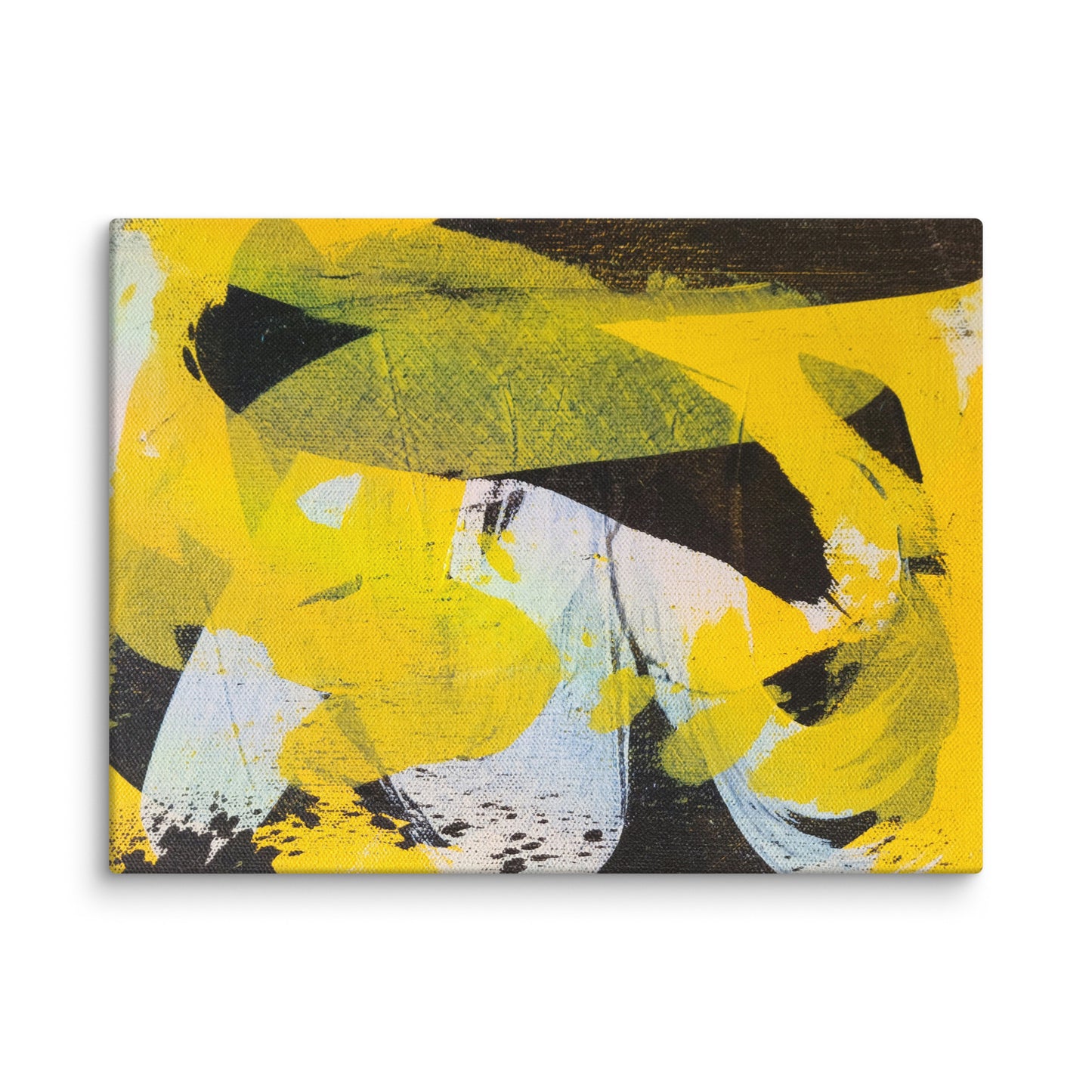 Steller Sway by Eric Haberman | Wrapped Canvas